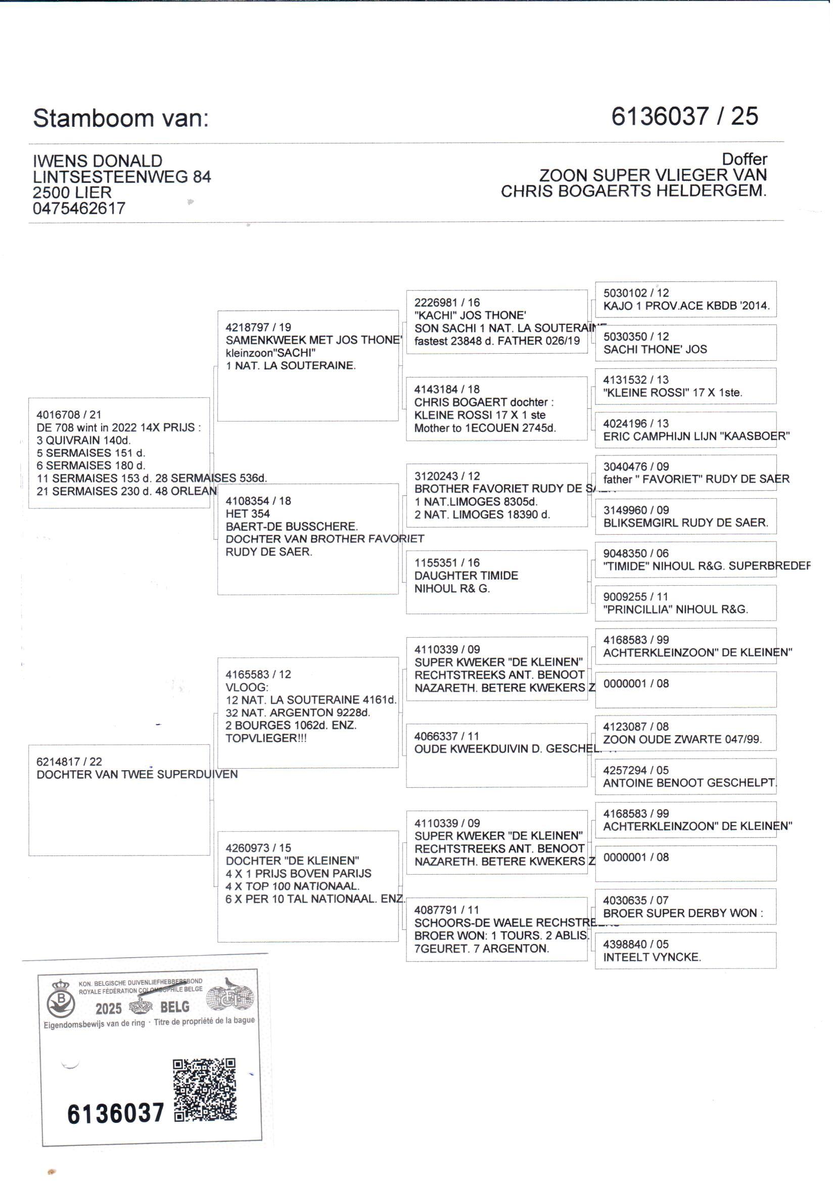 pedigree De 037