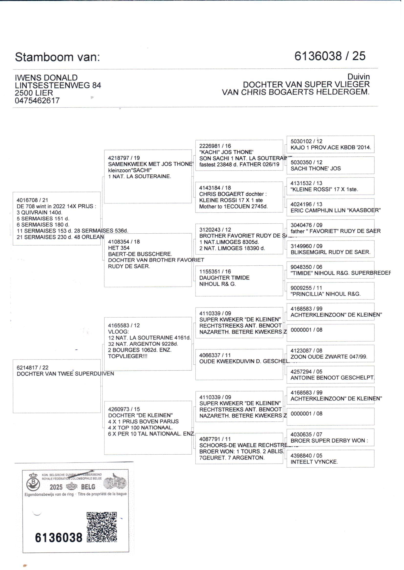 pedigree De 038