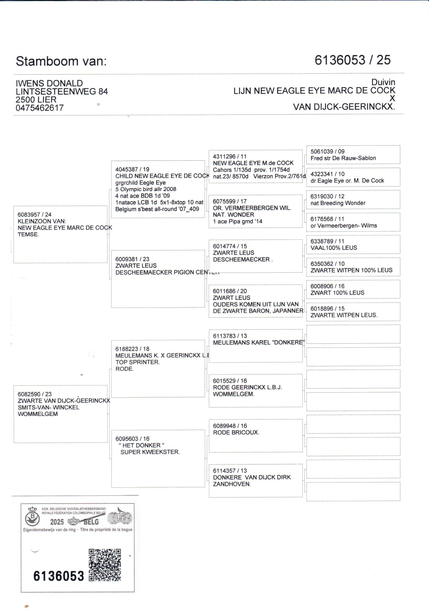 pedigree De 053