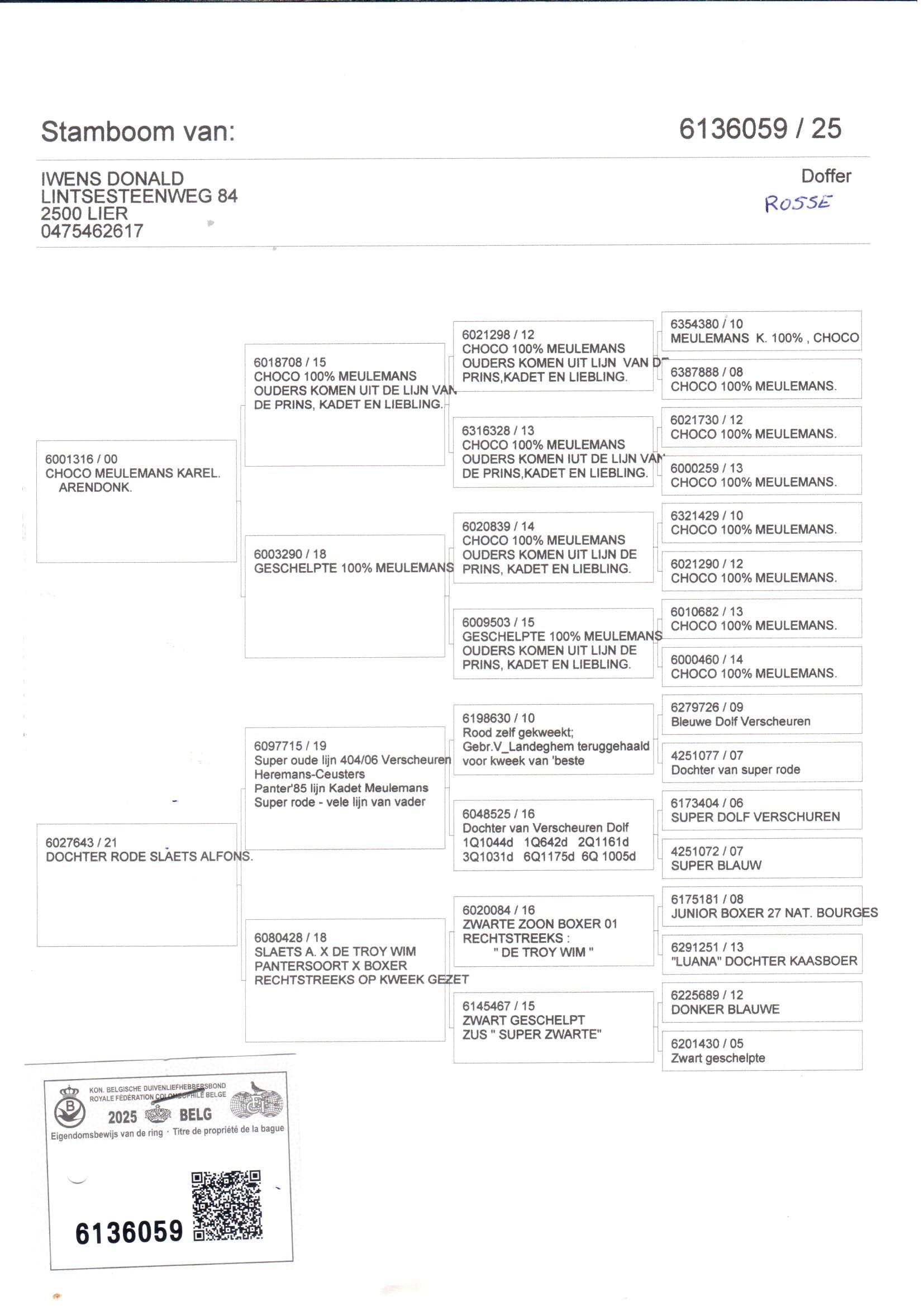 pedigree De 059