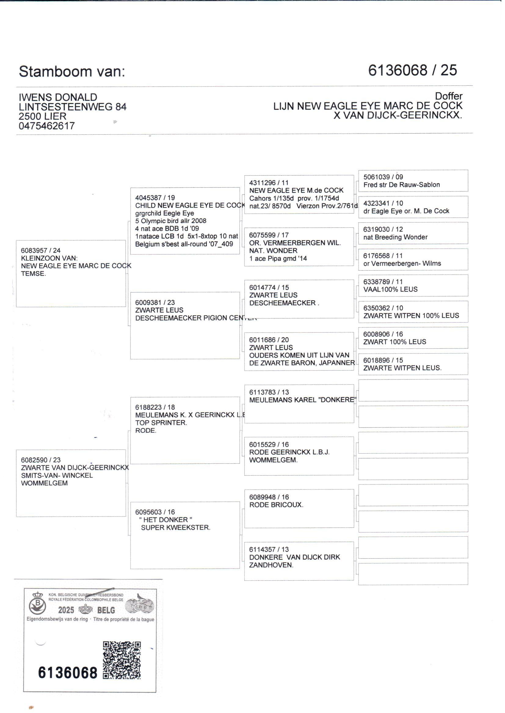 pedigree De 068