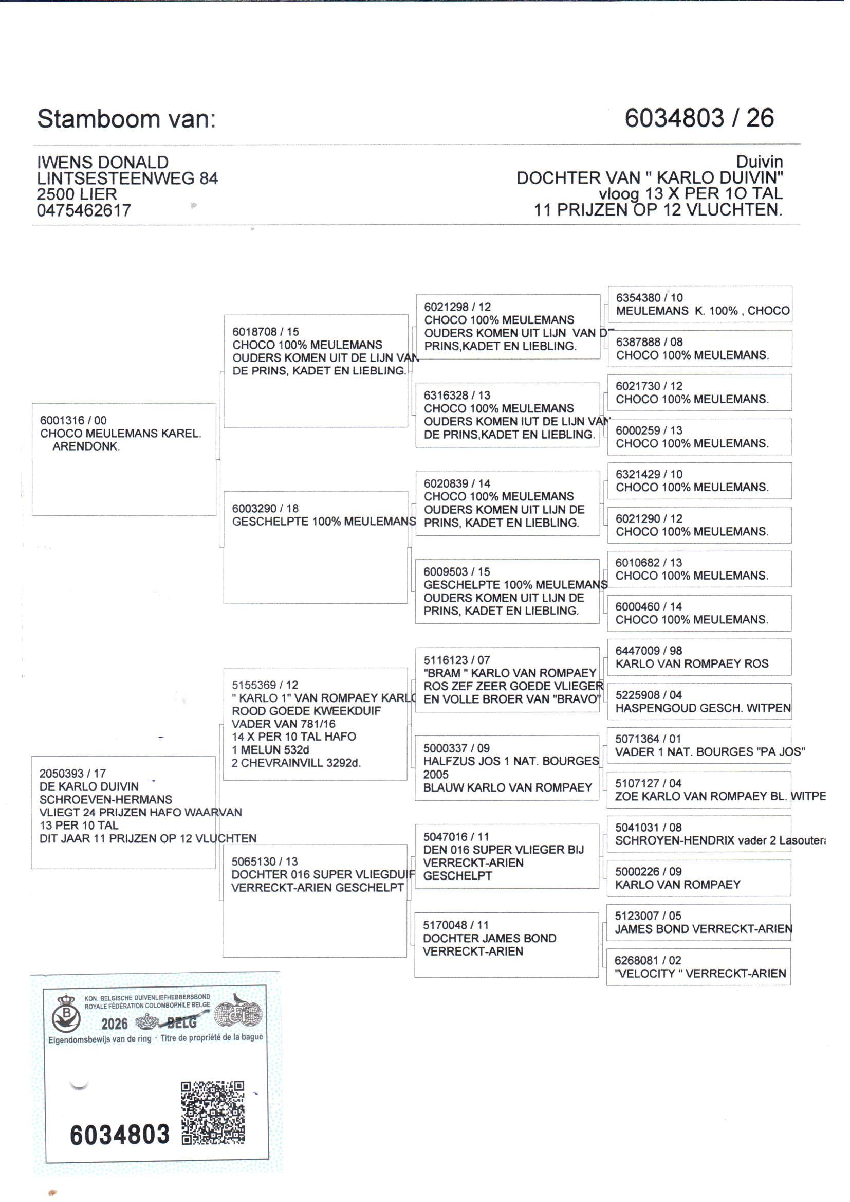 pedigree De 803 (+ moeder gratis: lot 2)