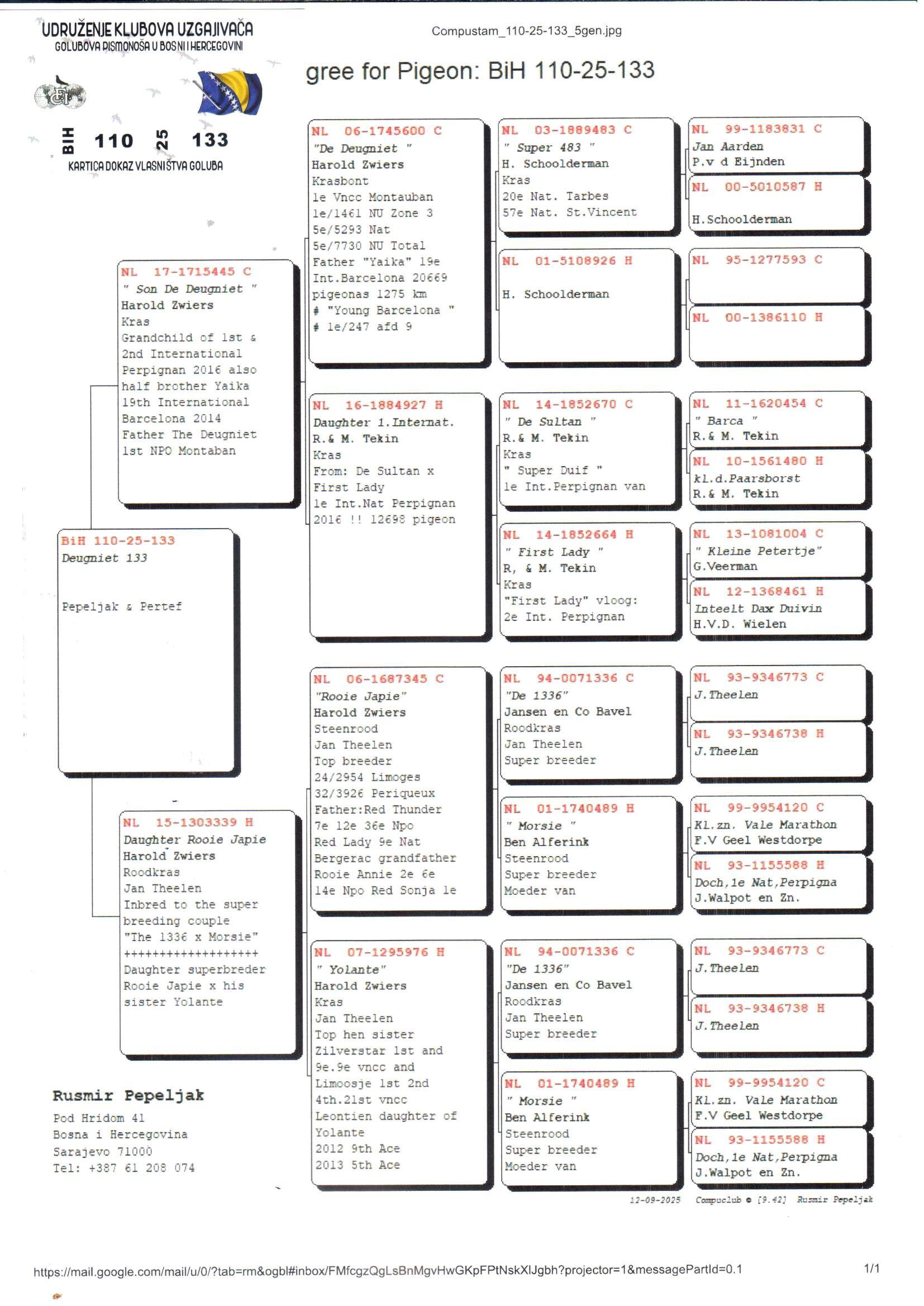 pedigree Deugniet 133