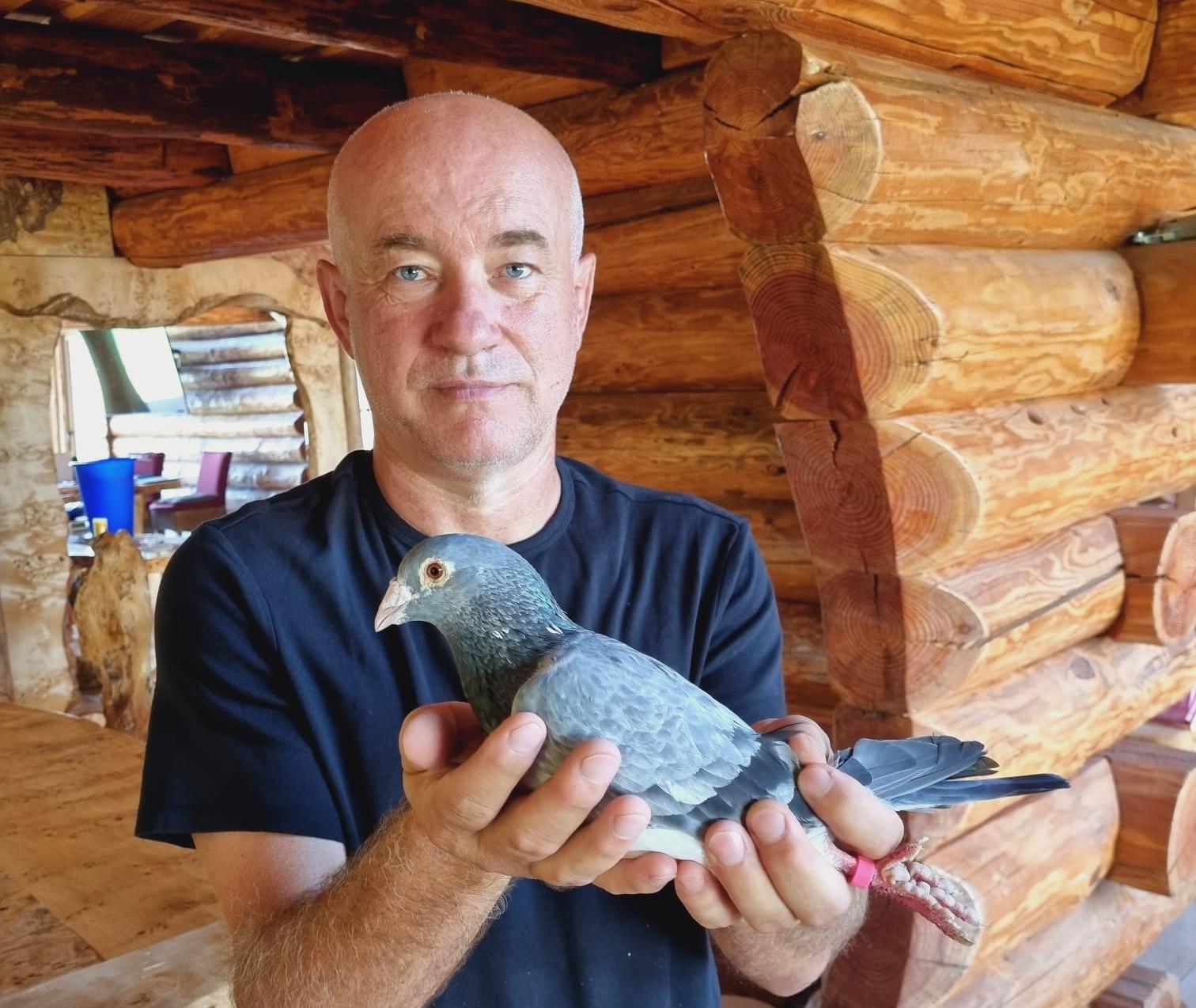 Auction: Goran Gusak