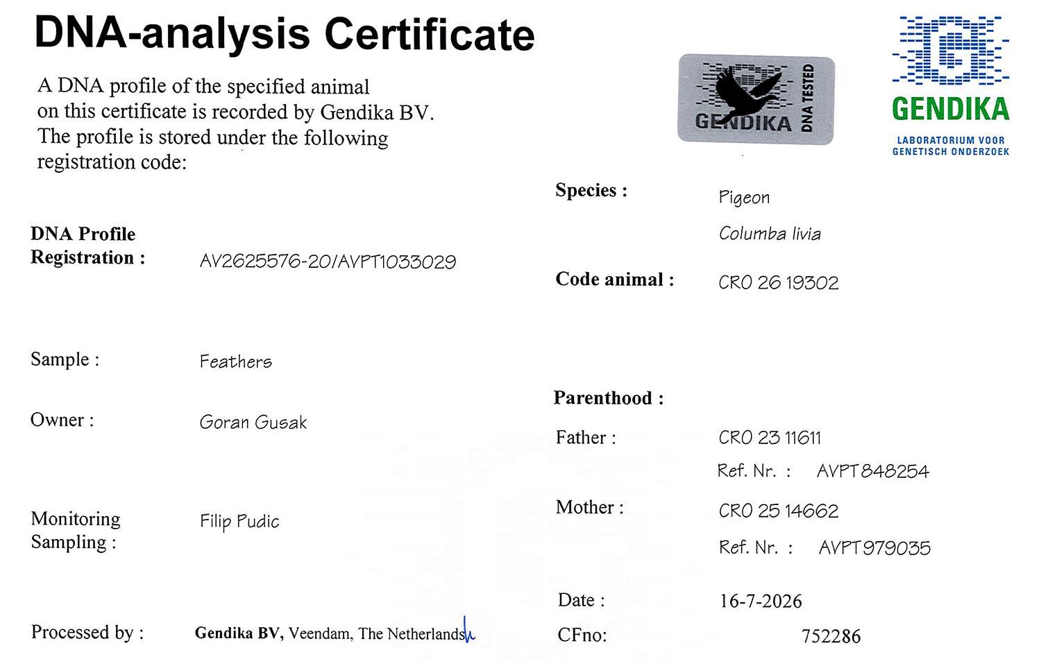 Raptor Crayzi (+ DNA) - Familie