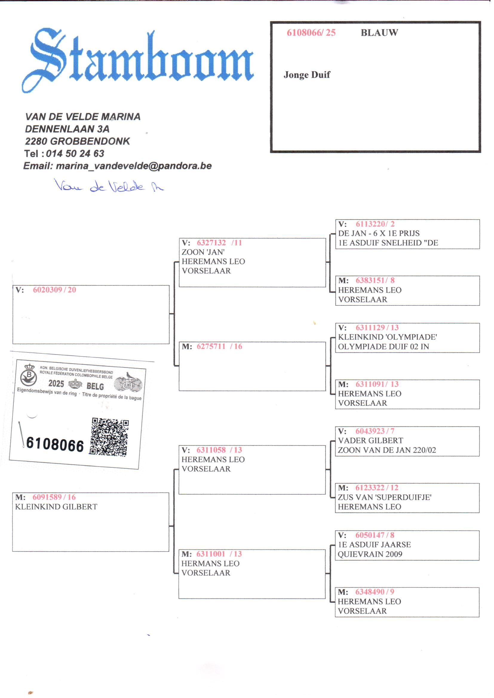 pedigree De 066