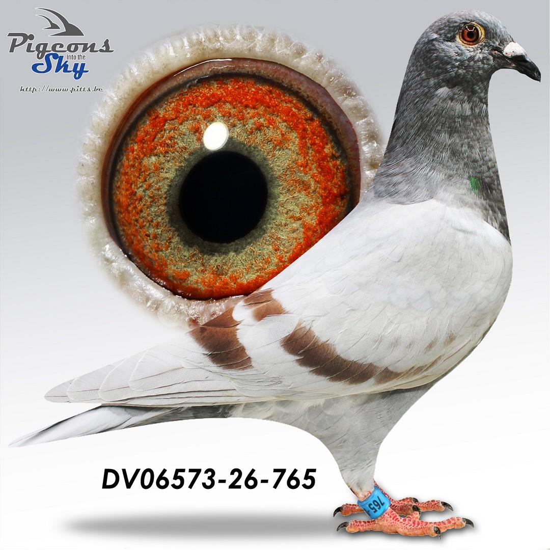 De 765