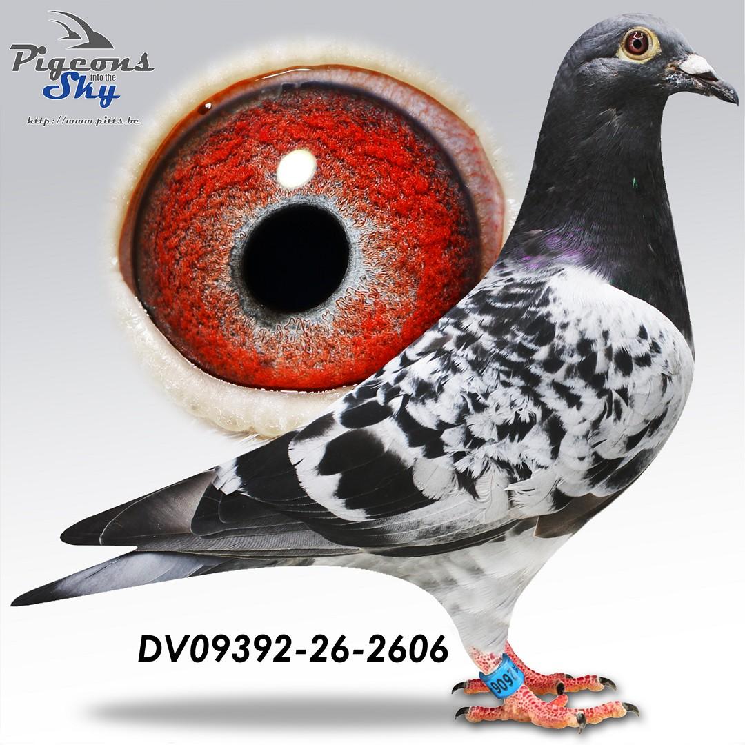 De 2606