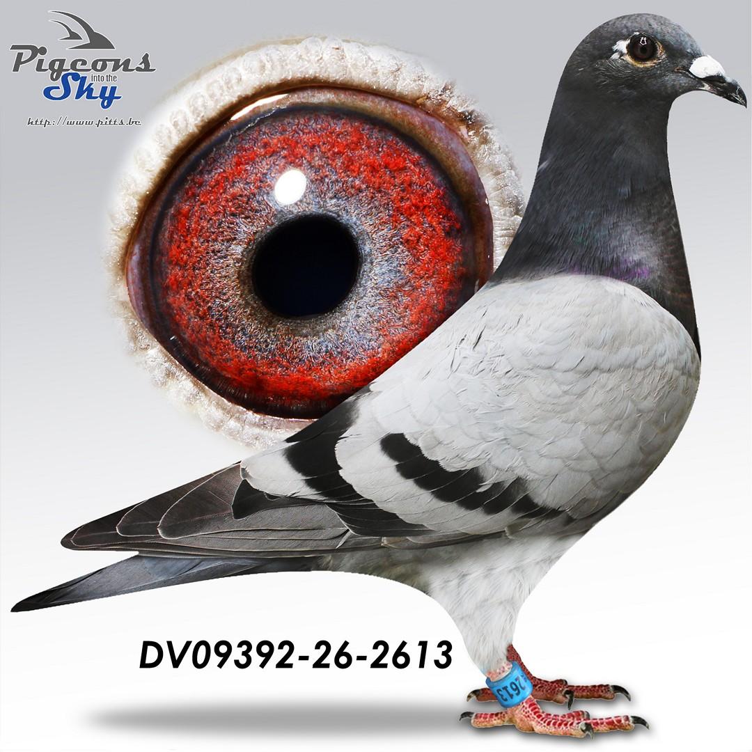 De 2613