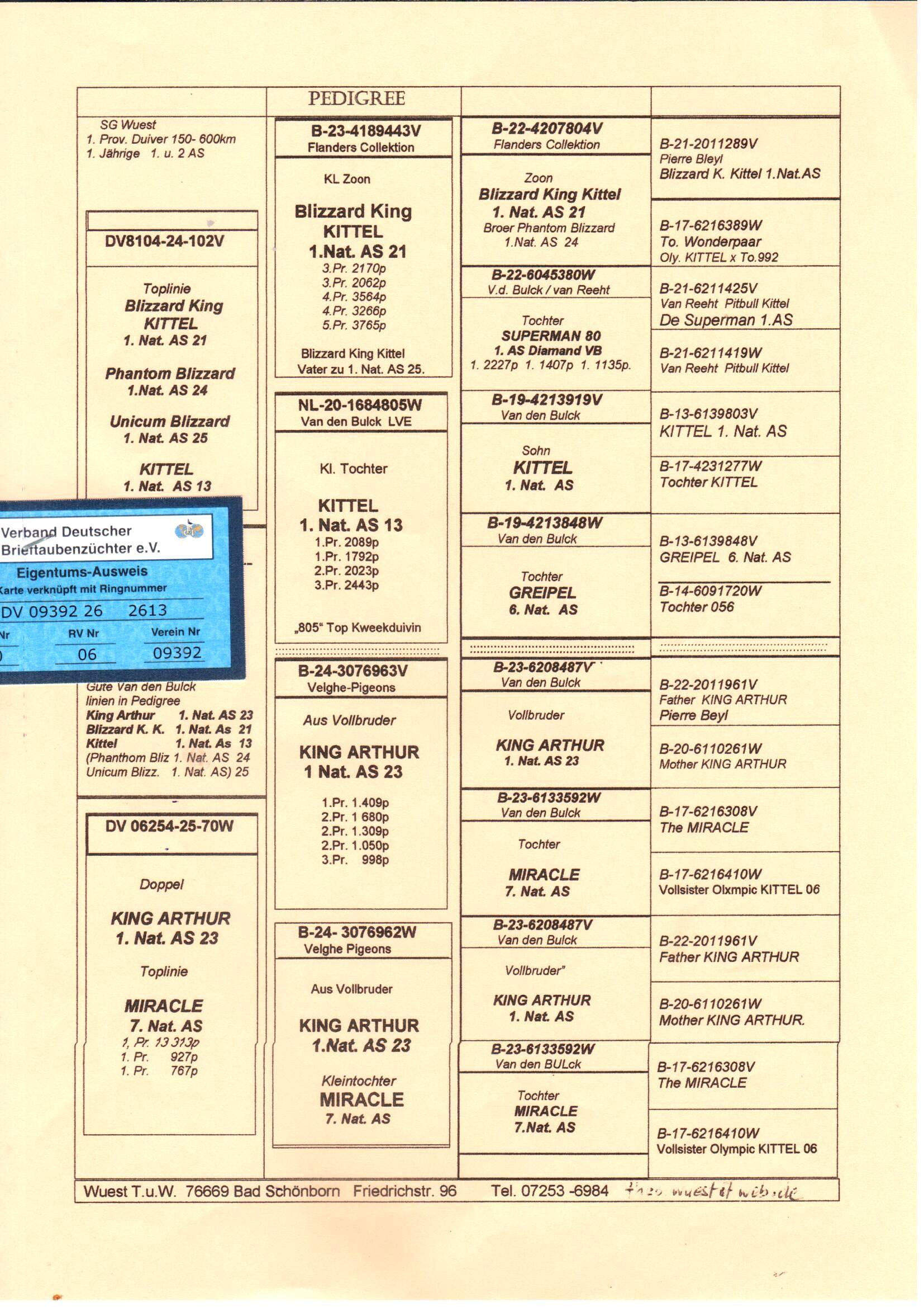 pedigree De 2613