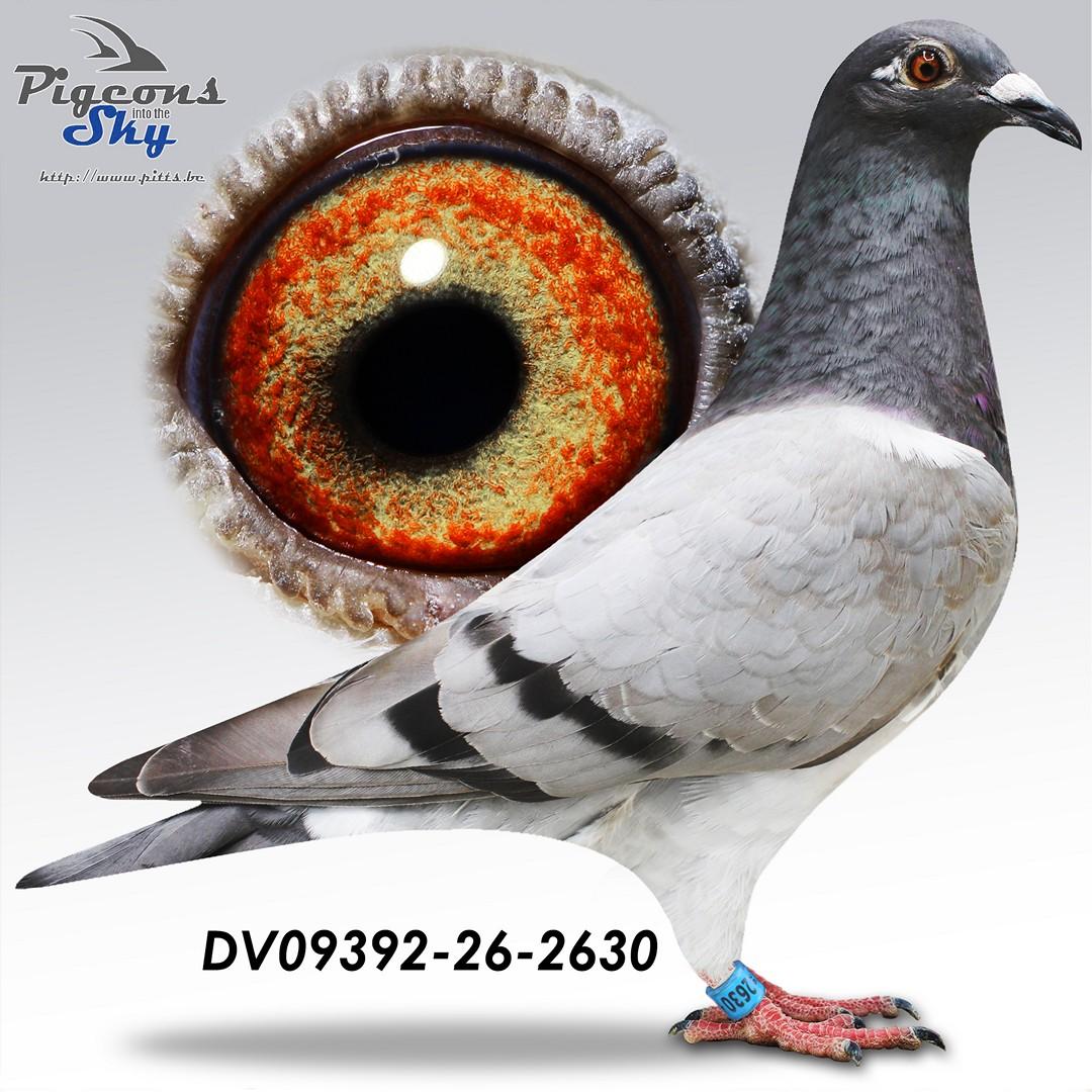 De 2630