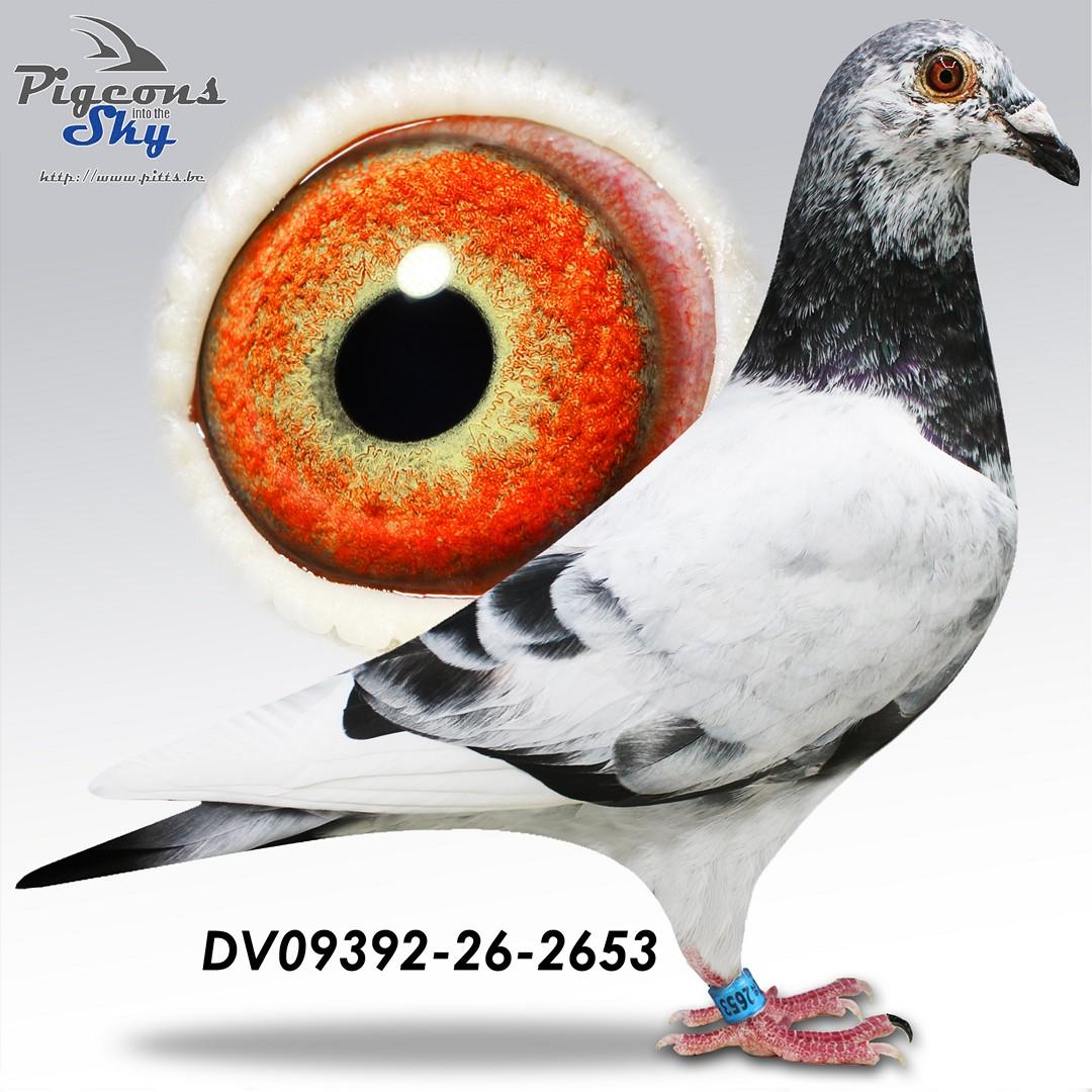 De 2653