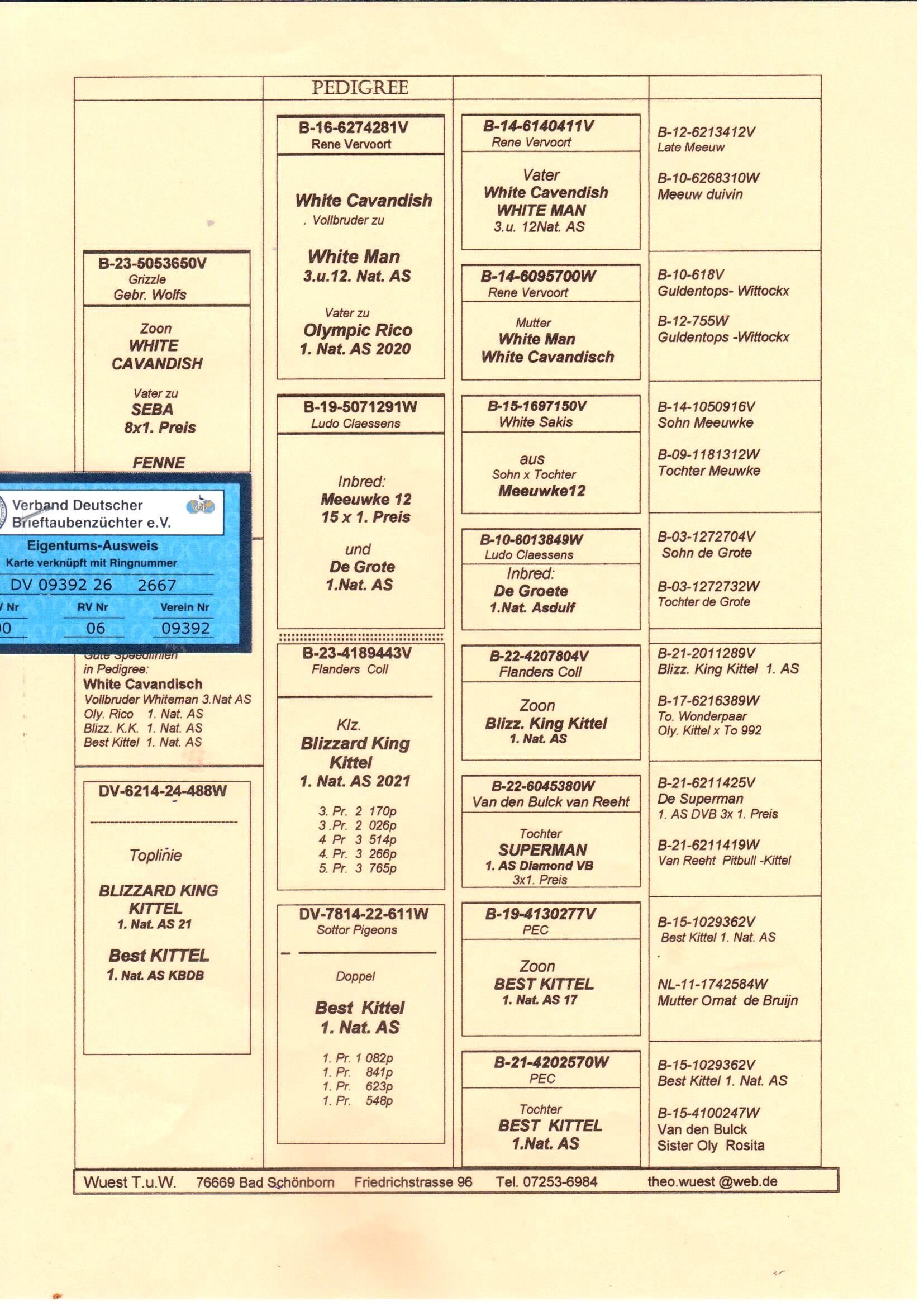 pedigree De 2667