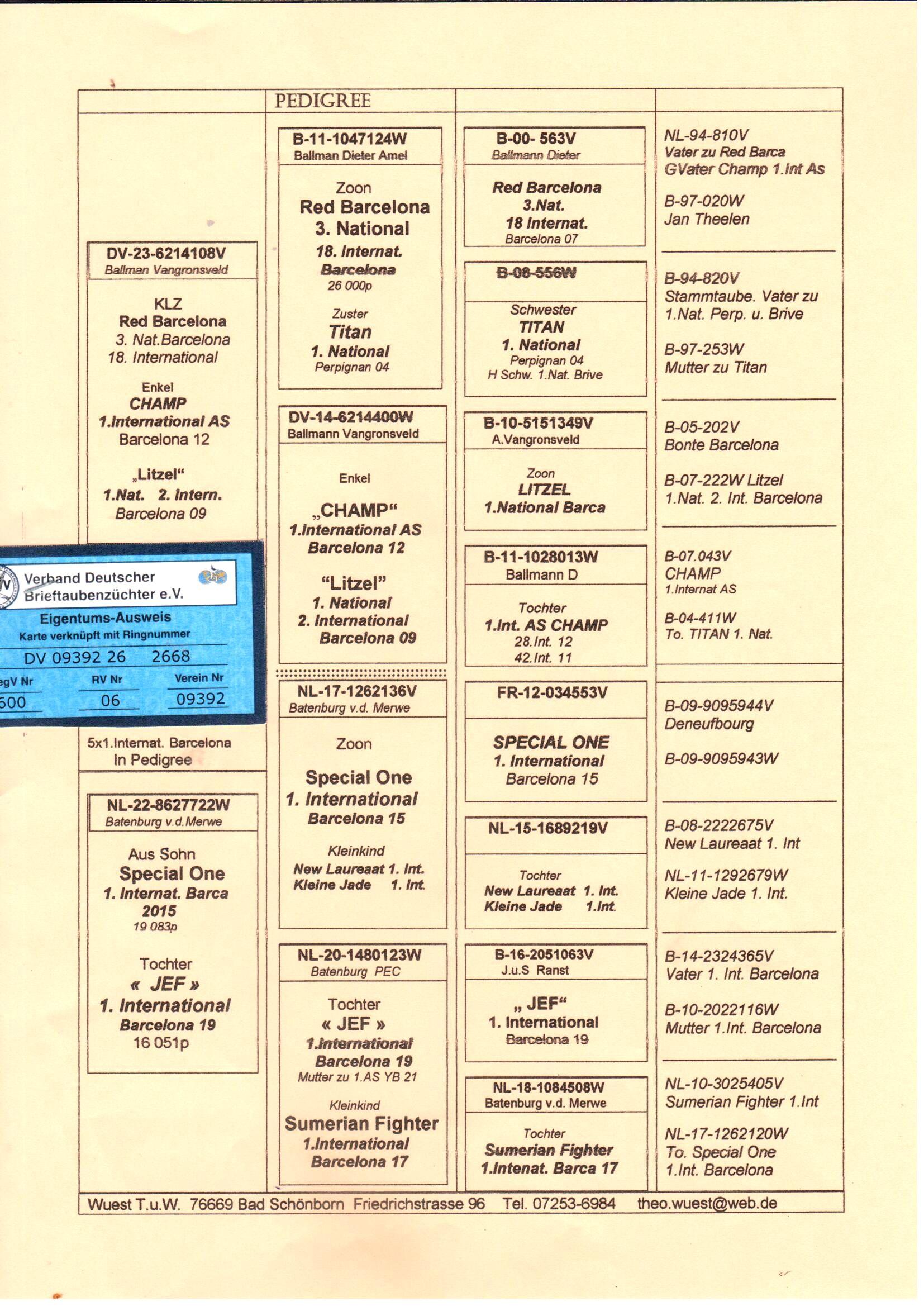 pedigree De 2668