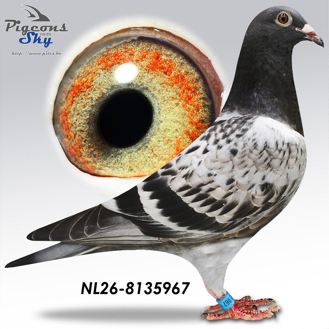 De 967