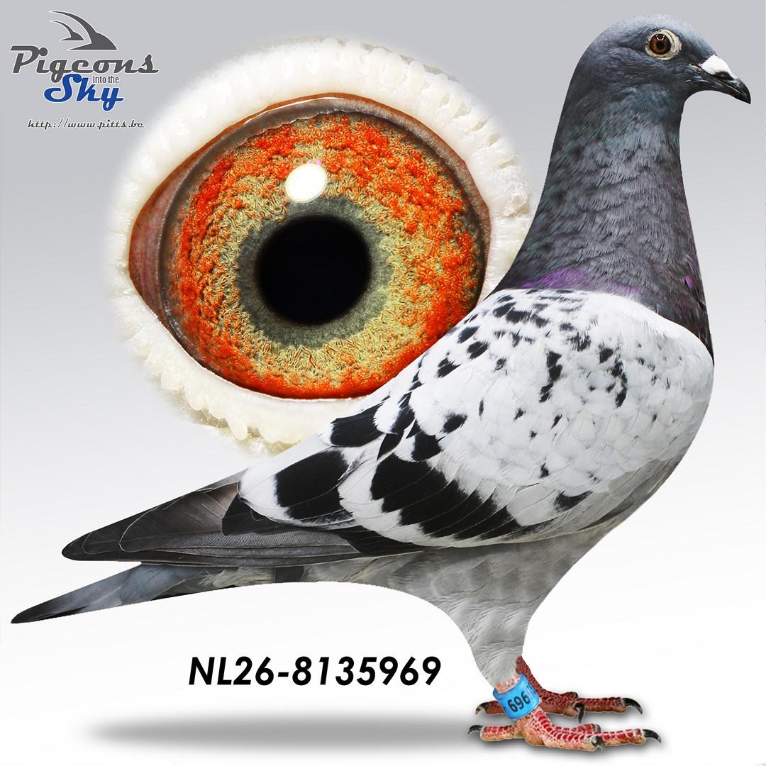 De 969