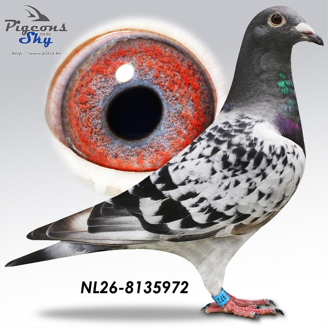 De 972