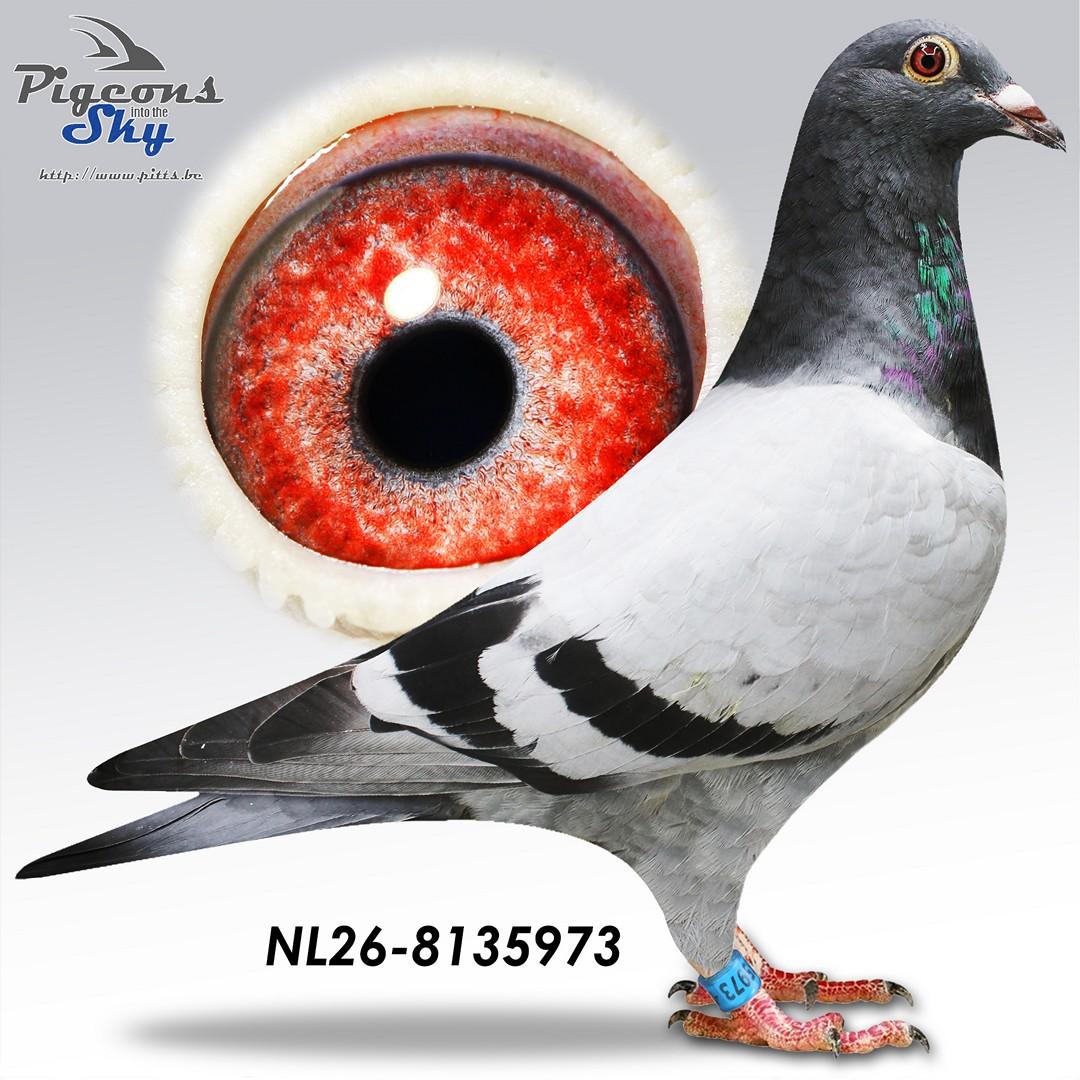 De 973