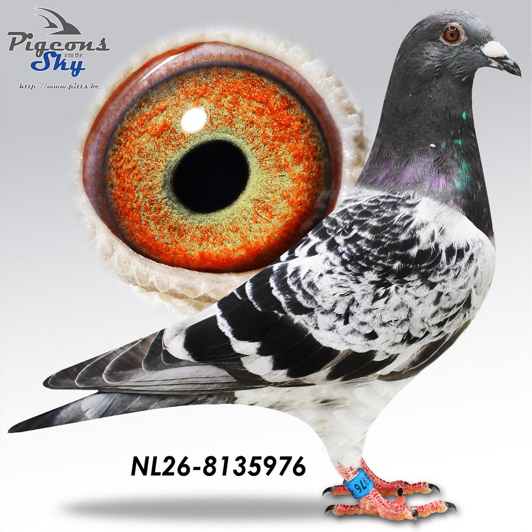 De 976