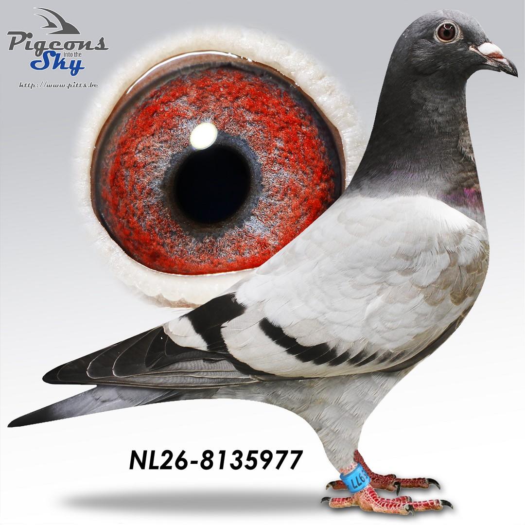 De 977