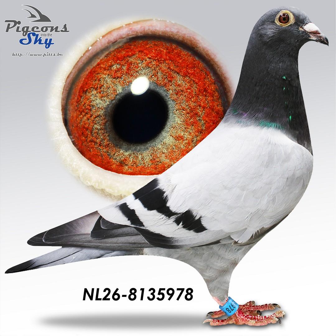 De 978
