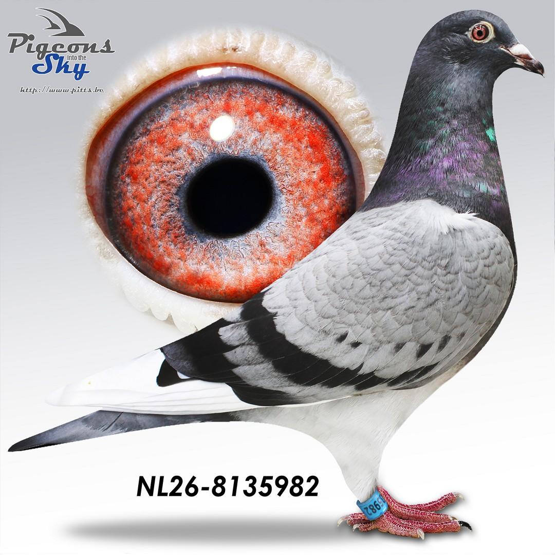 De 982