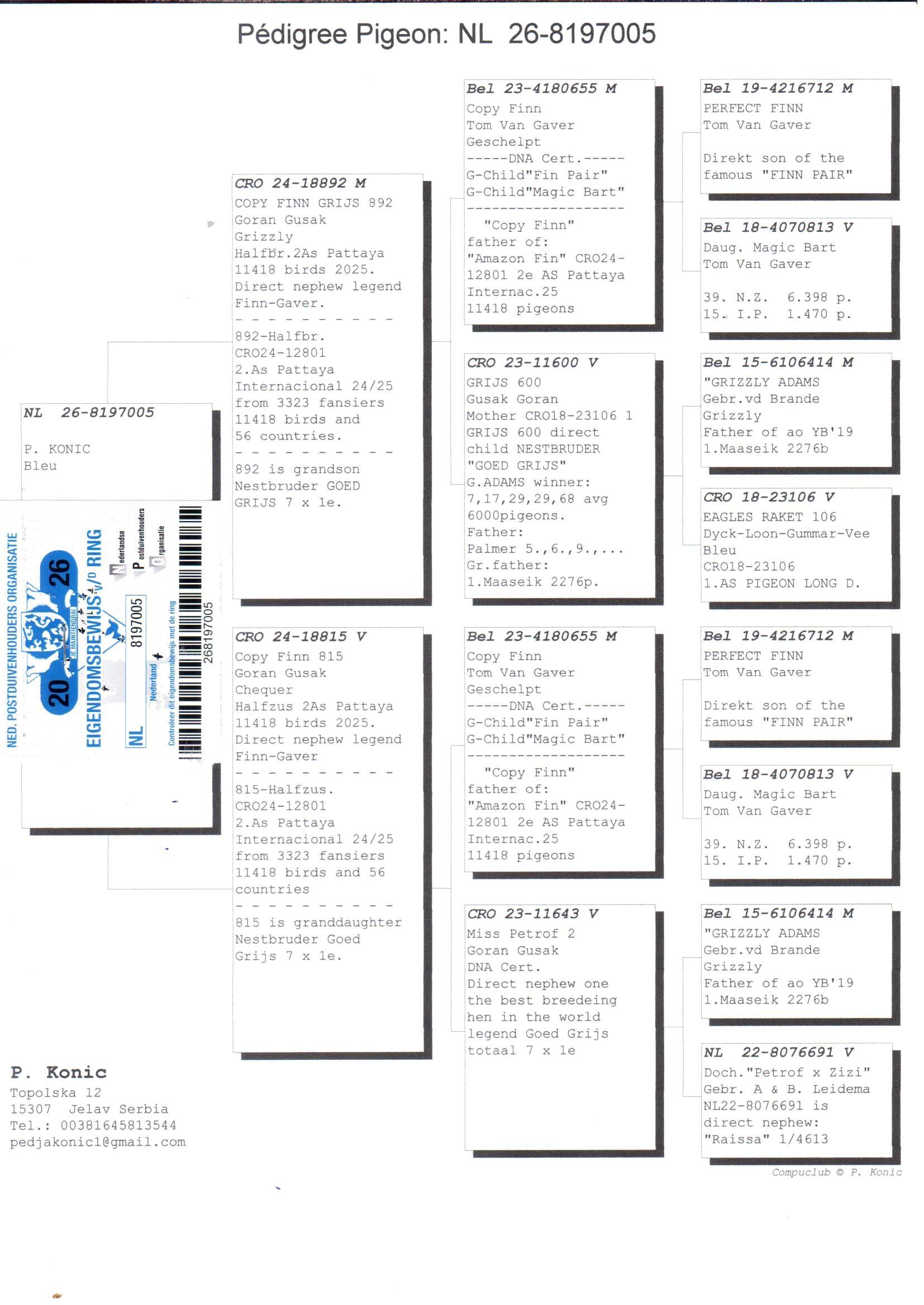 pedigree De 005