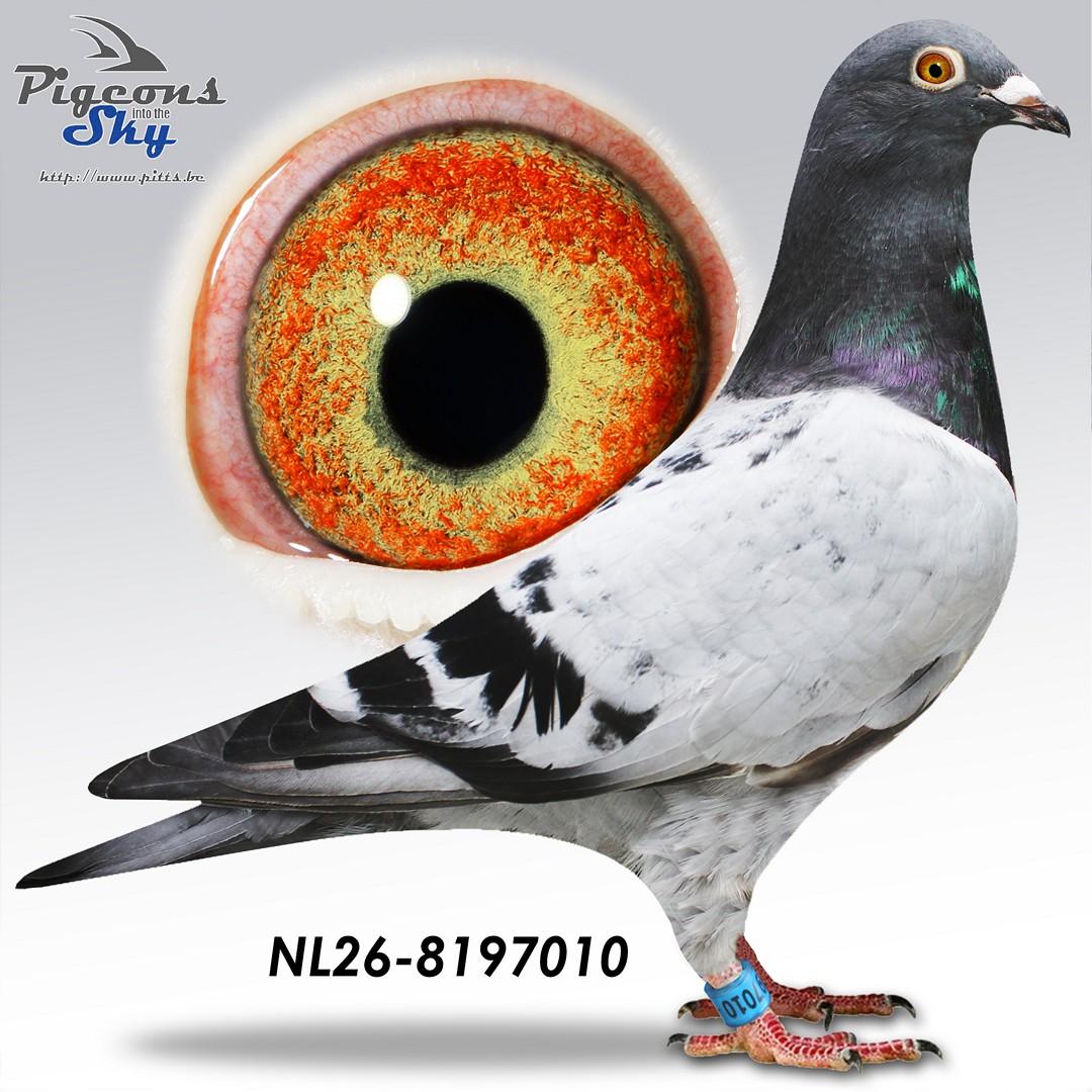 De 010