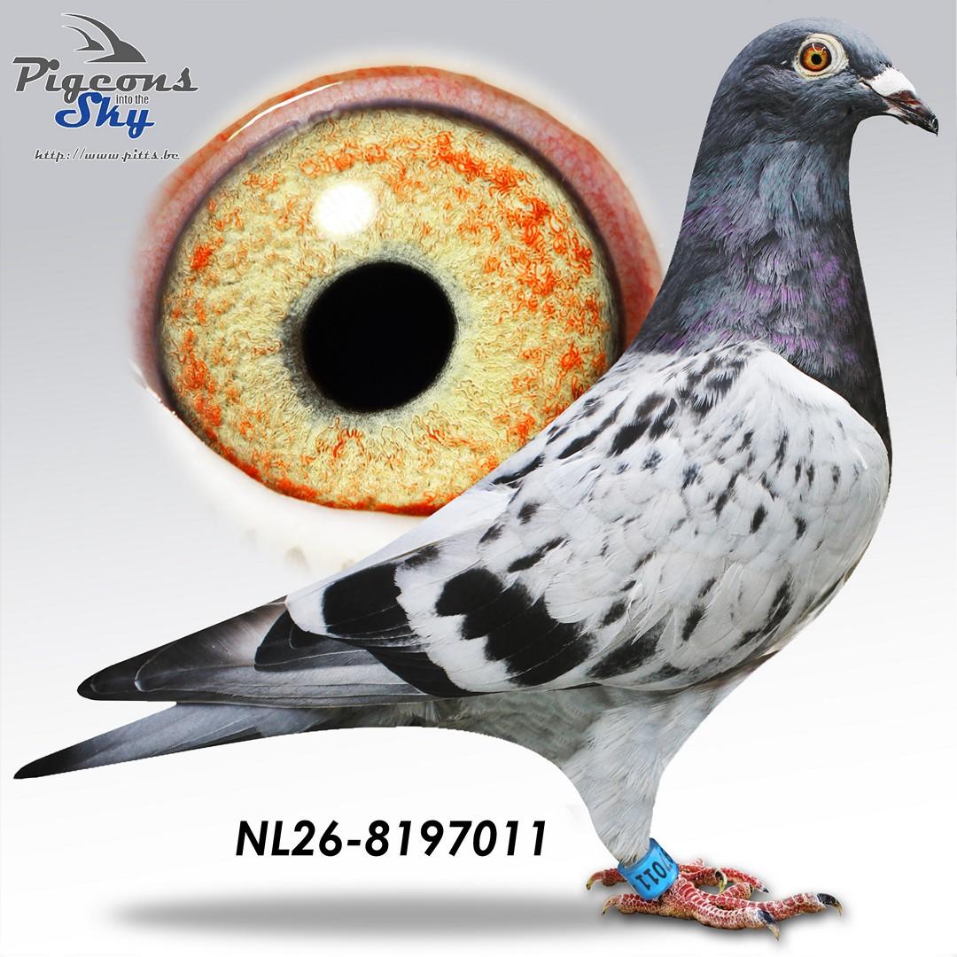 De 011