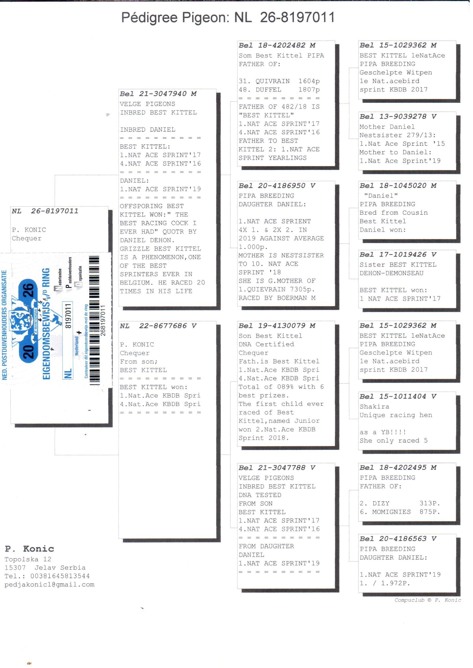 pedigree De 011