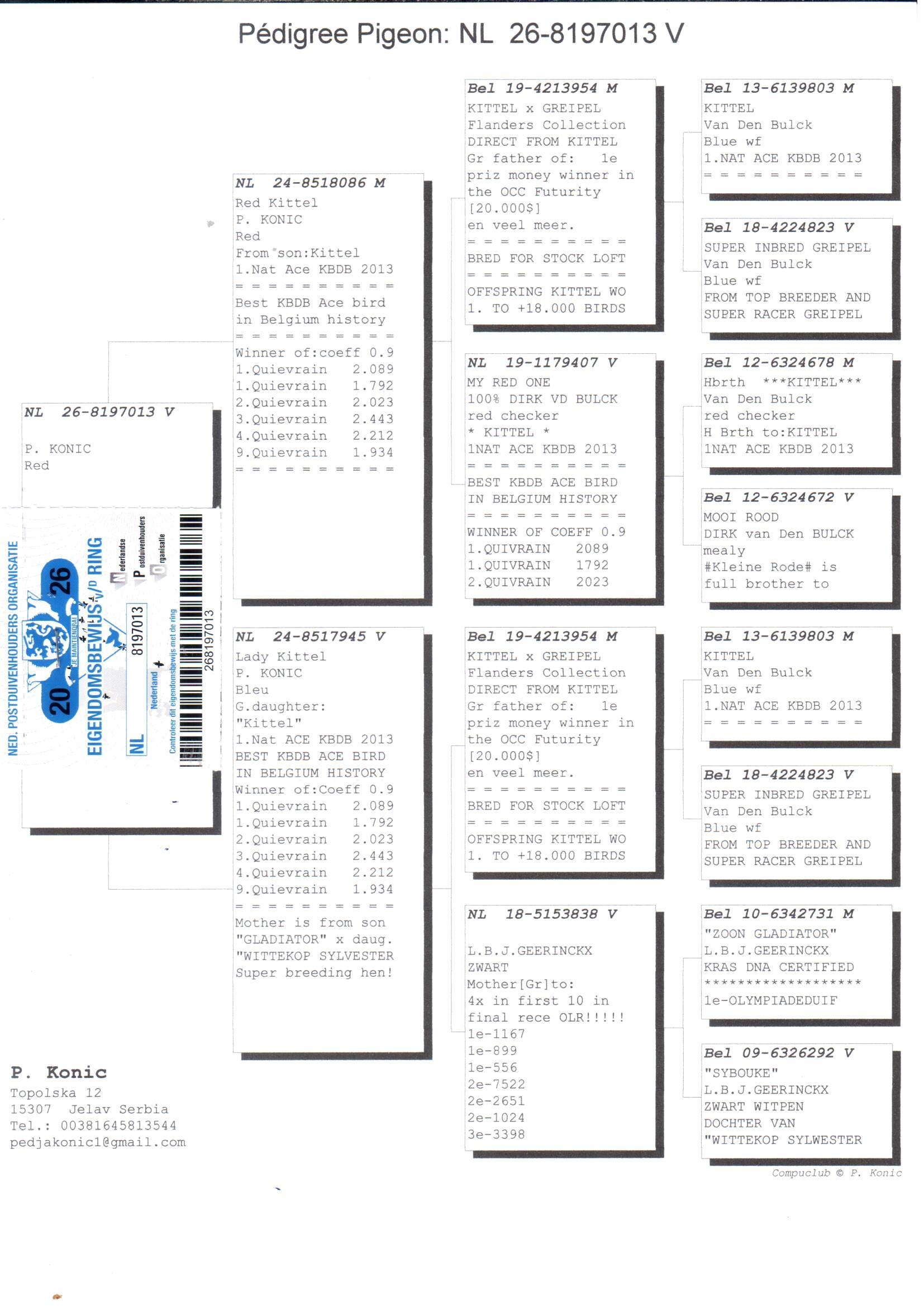 pedigree De 013