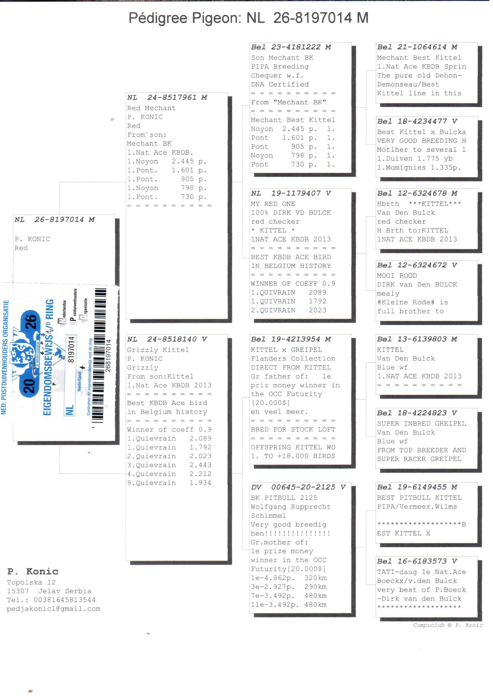 pedigree De 014