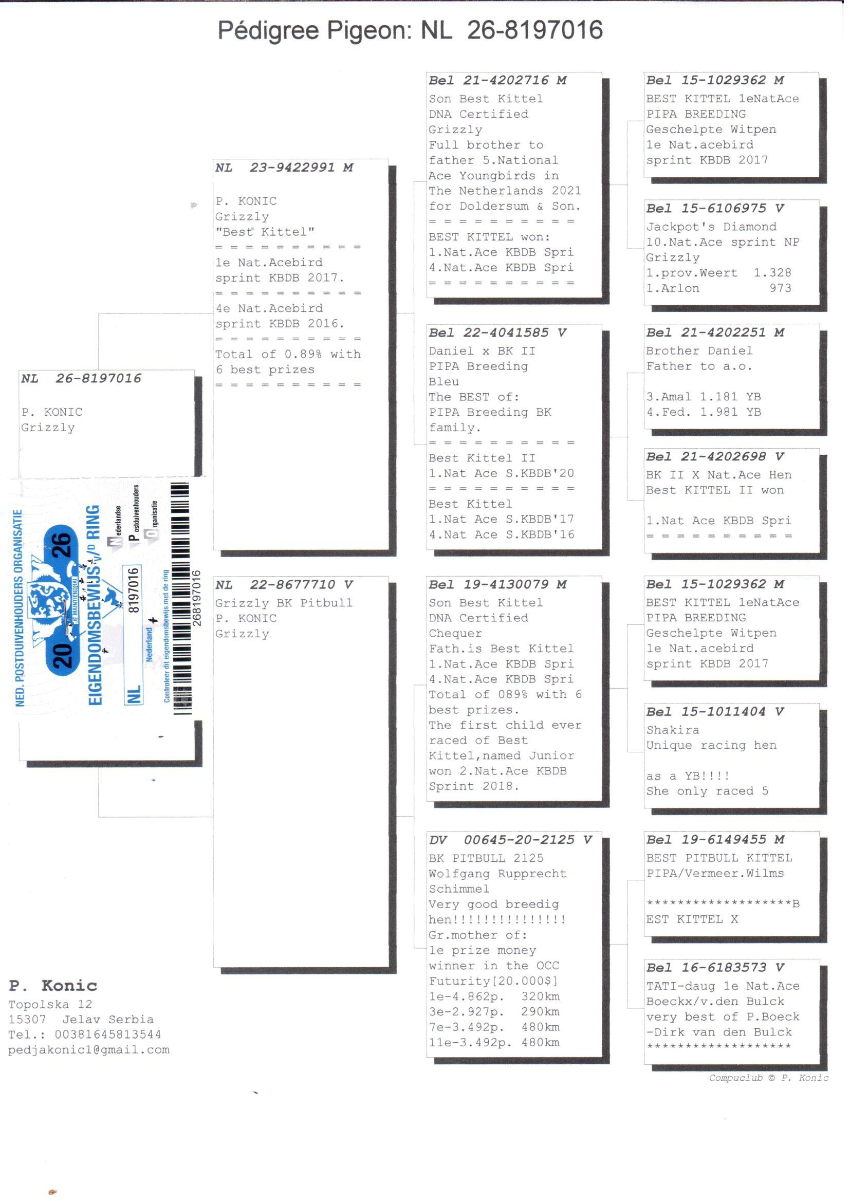 pedigree De 016
