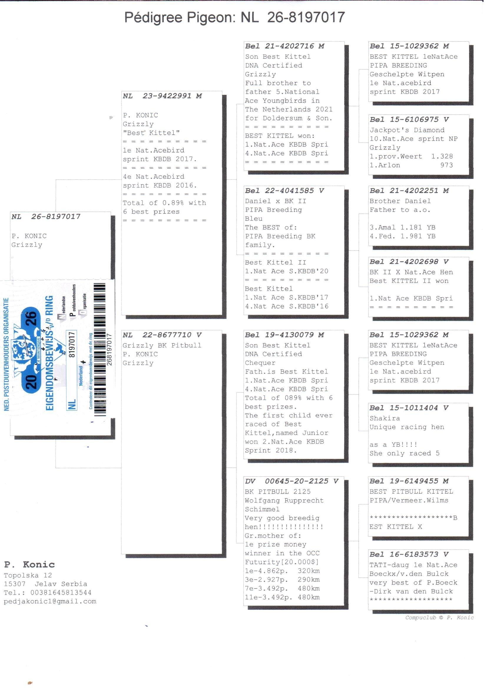 pedigree De 017
