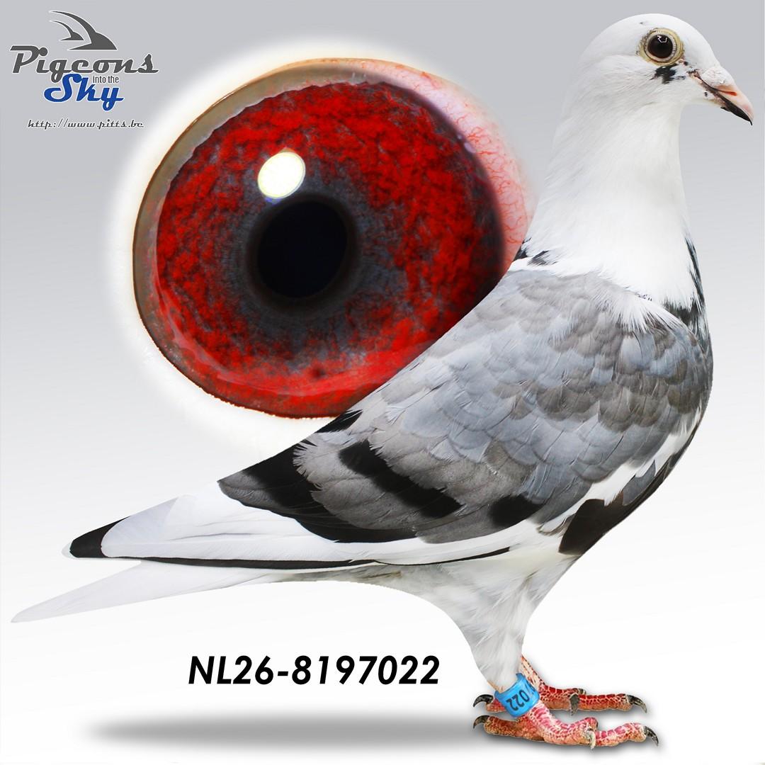 De 022
