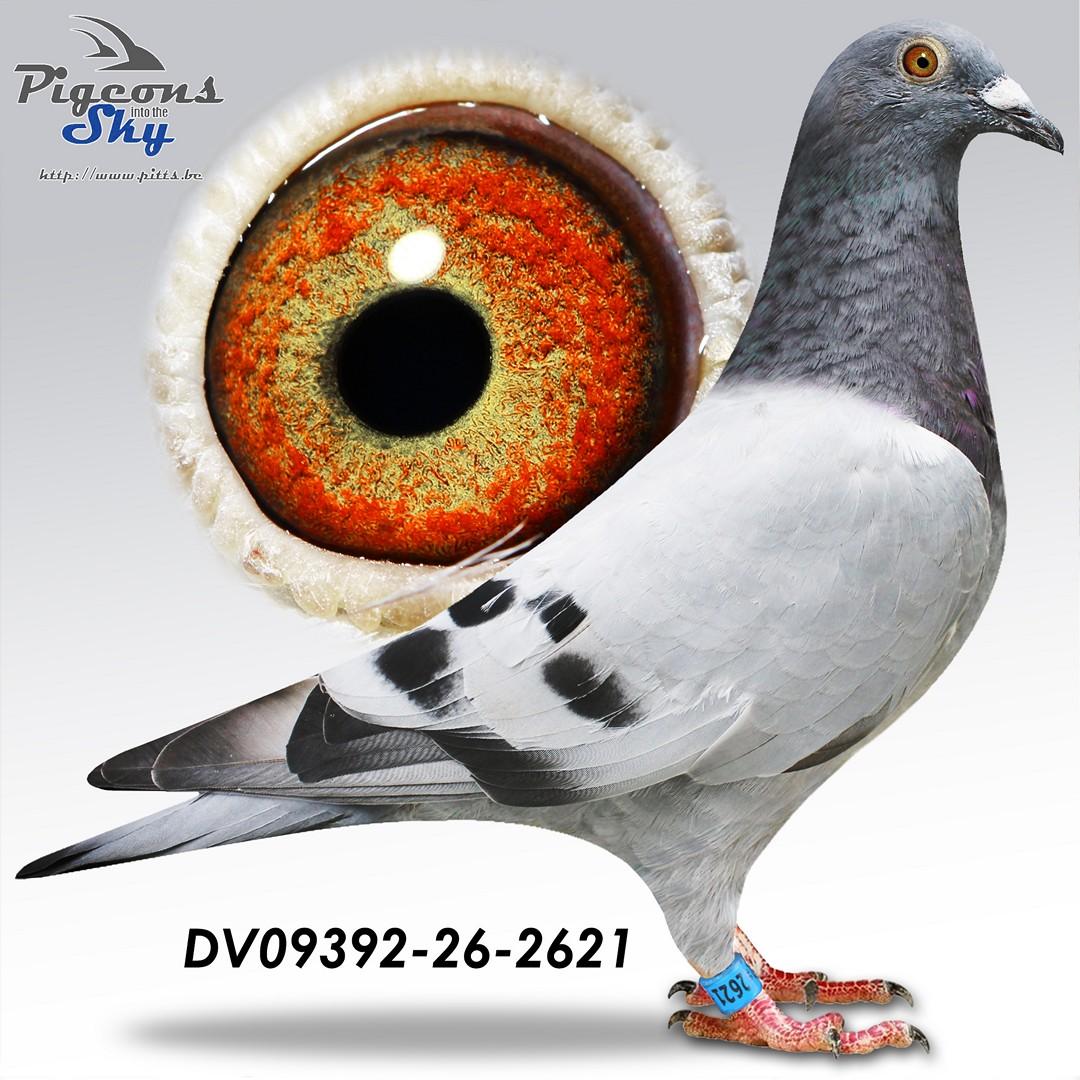 De 2621