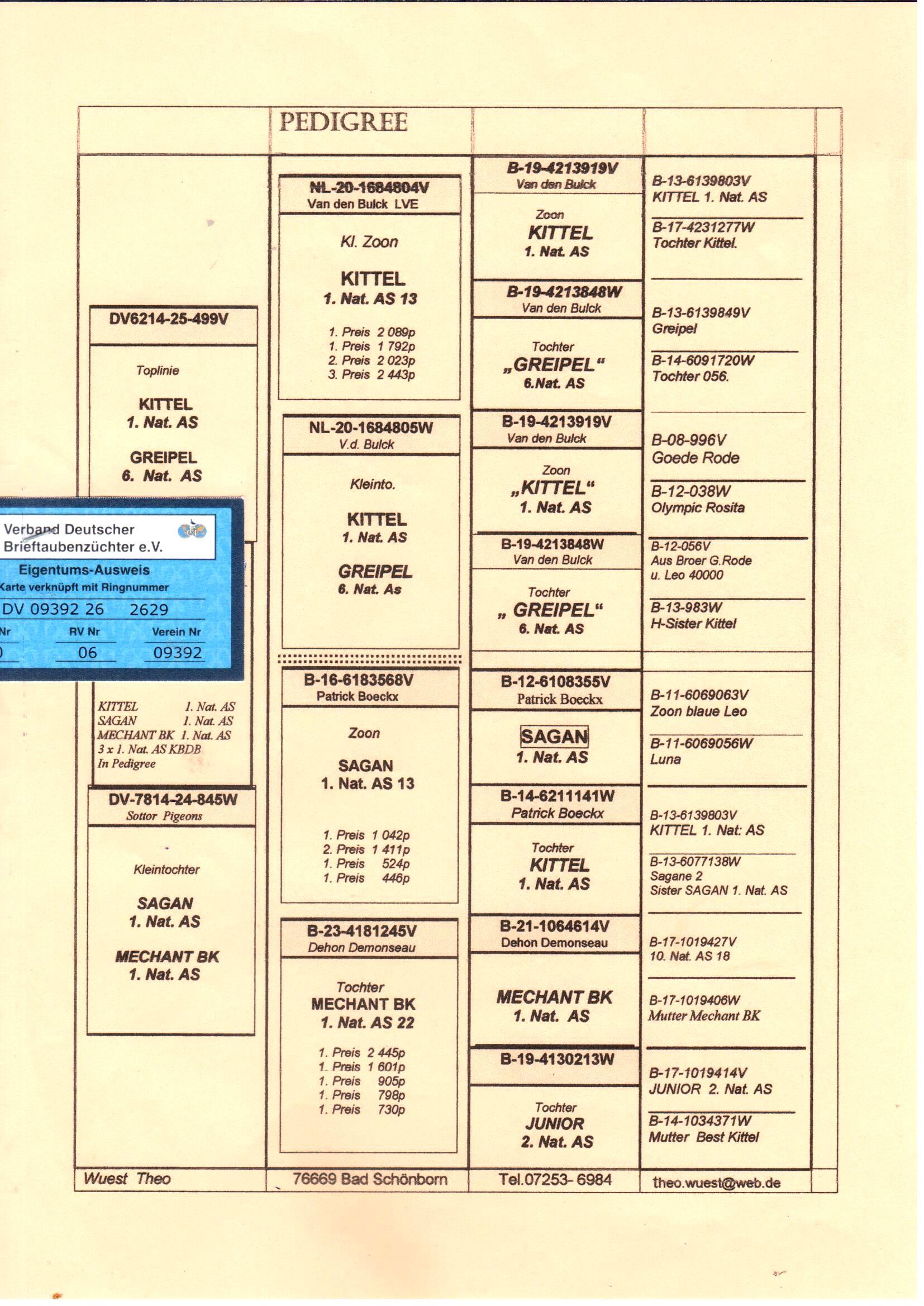 pedigree De 2629