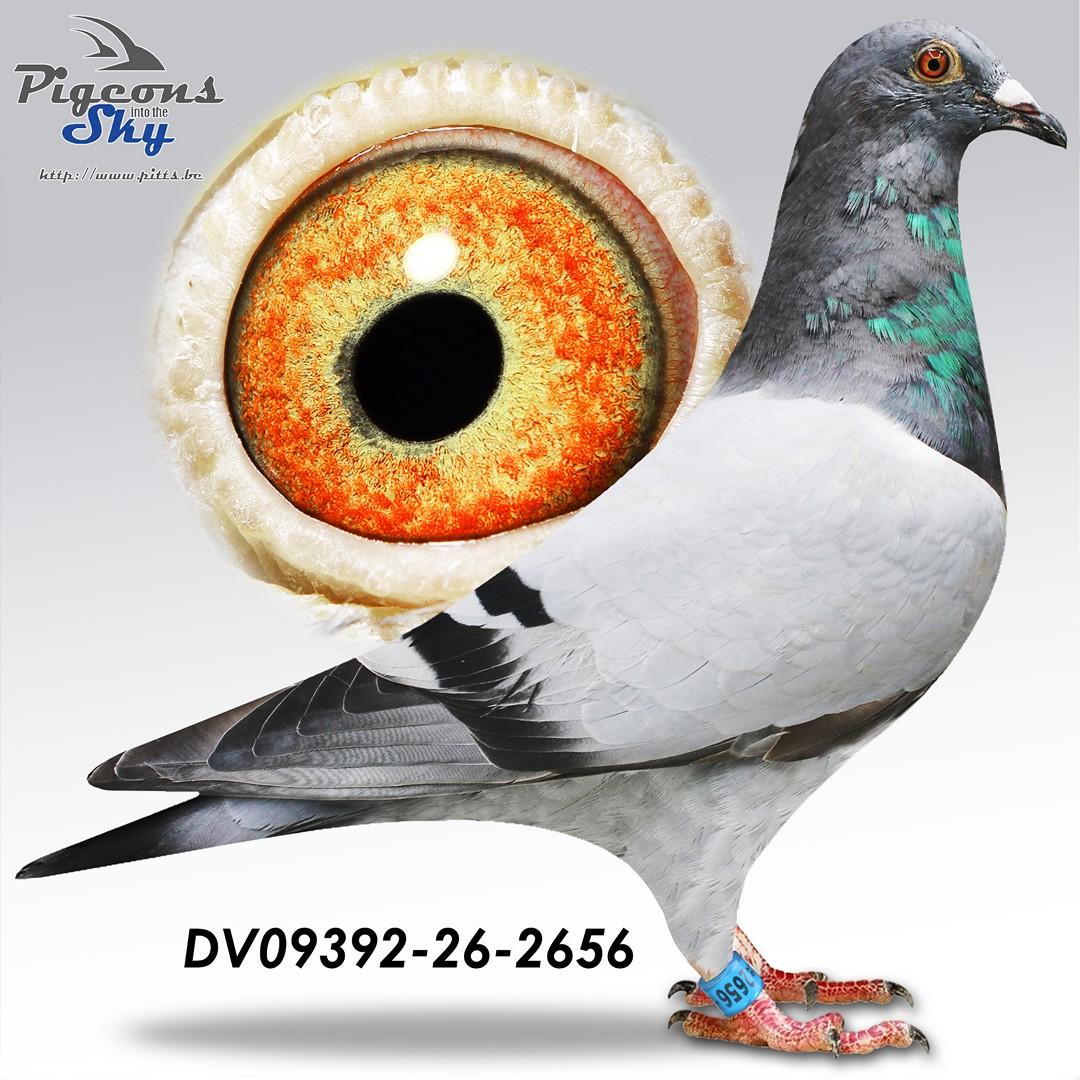 De 2656