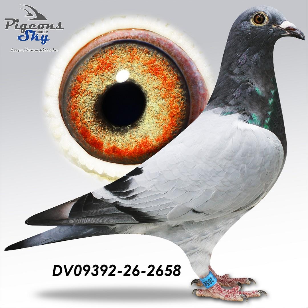 De 2658