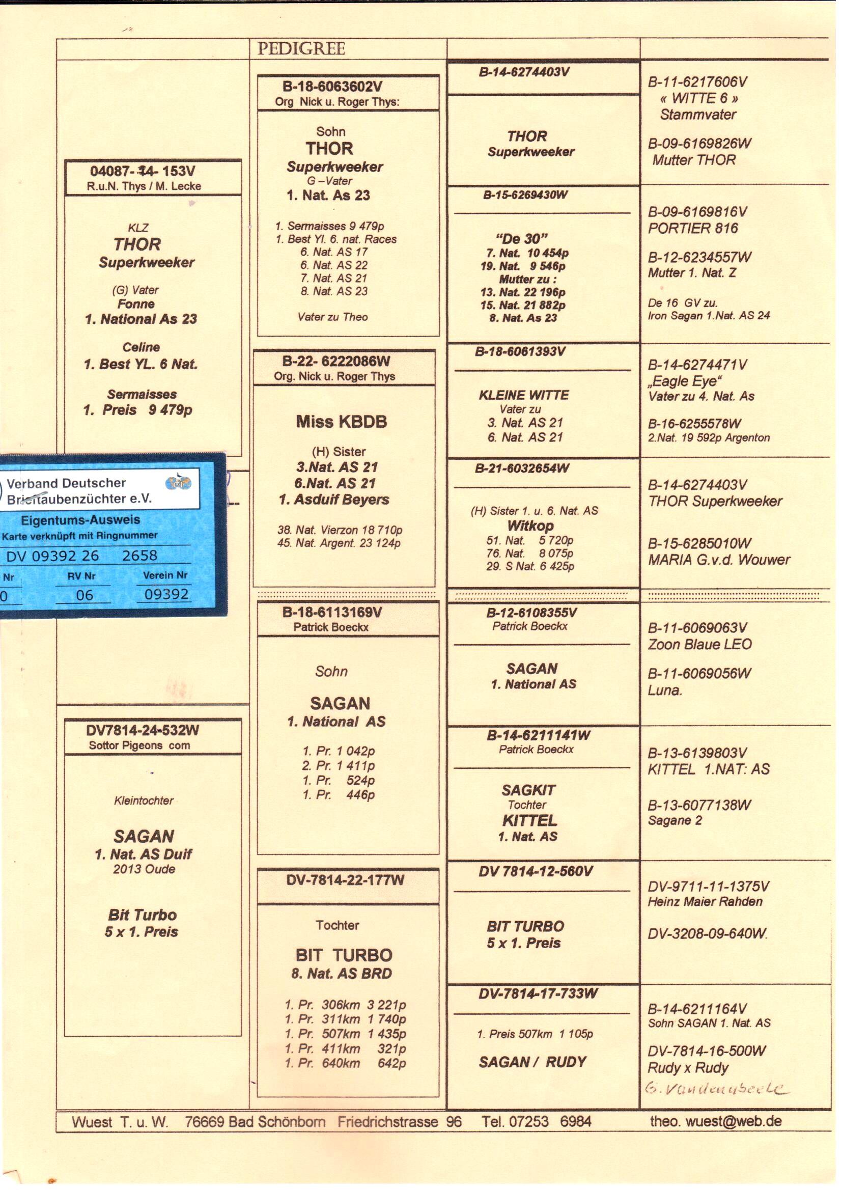 pedigree De 2658