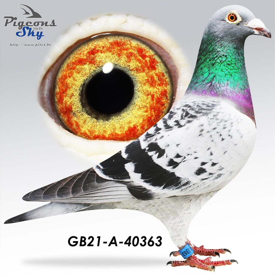 De 363