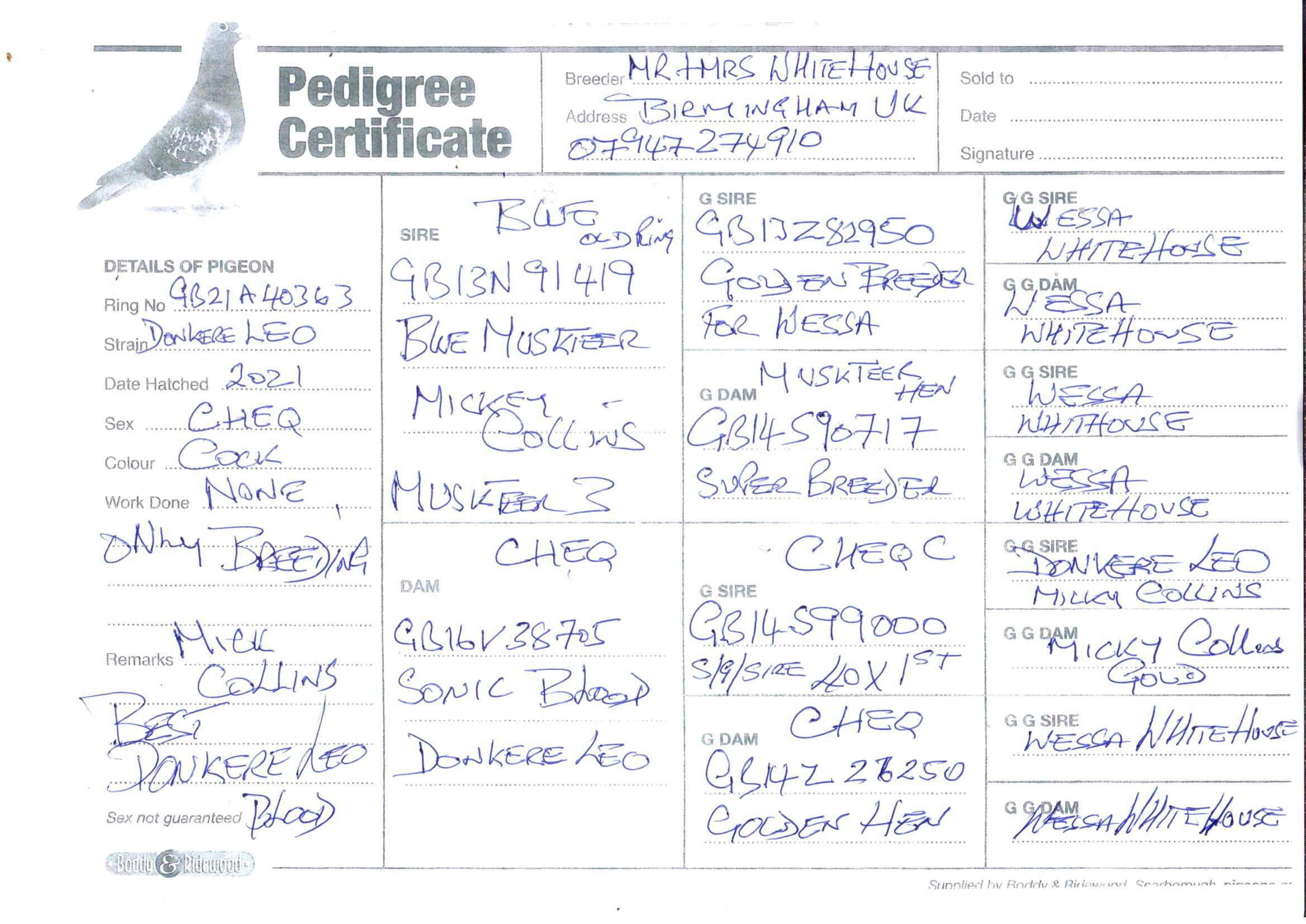 pedigree De 363