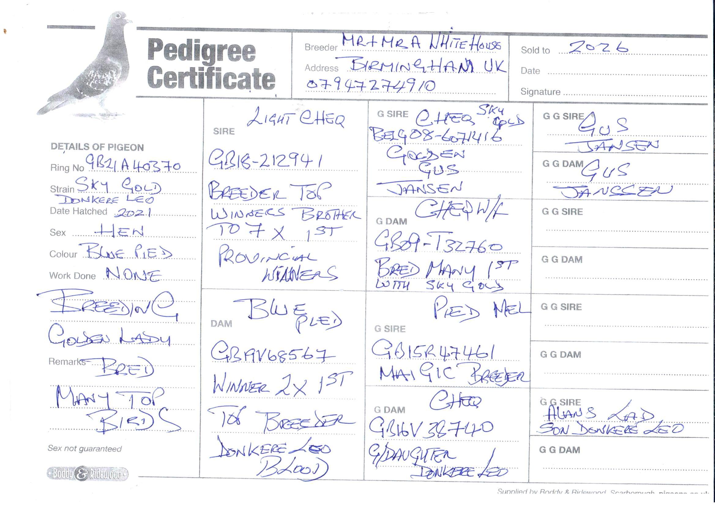 pedigree De 370