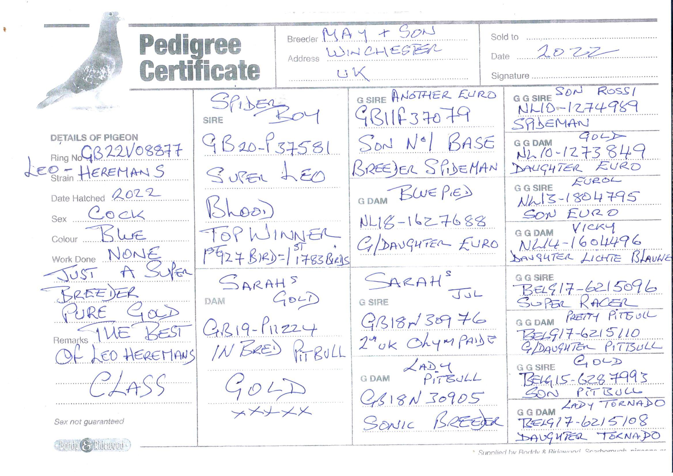 pedigree De 877