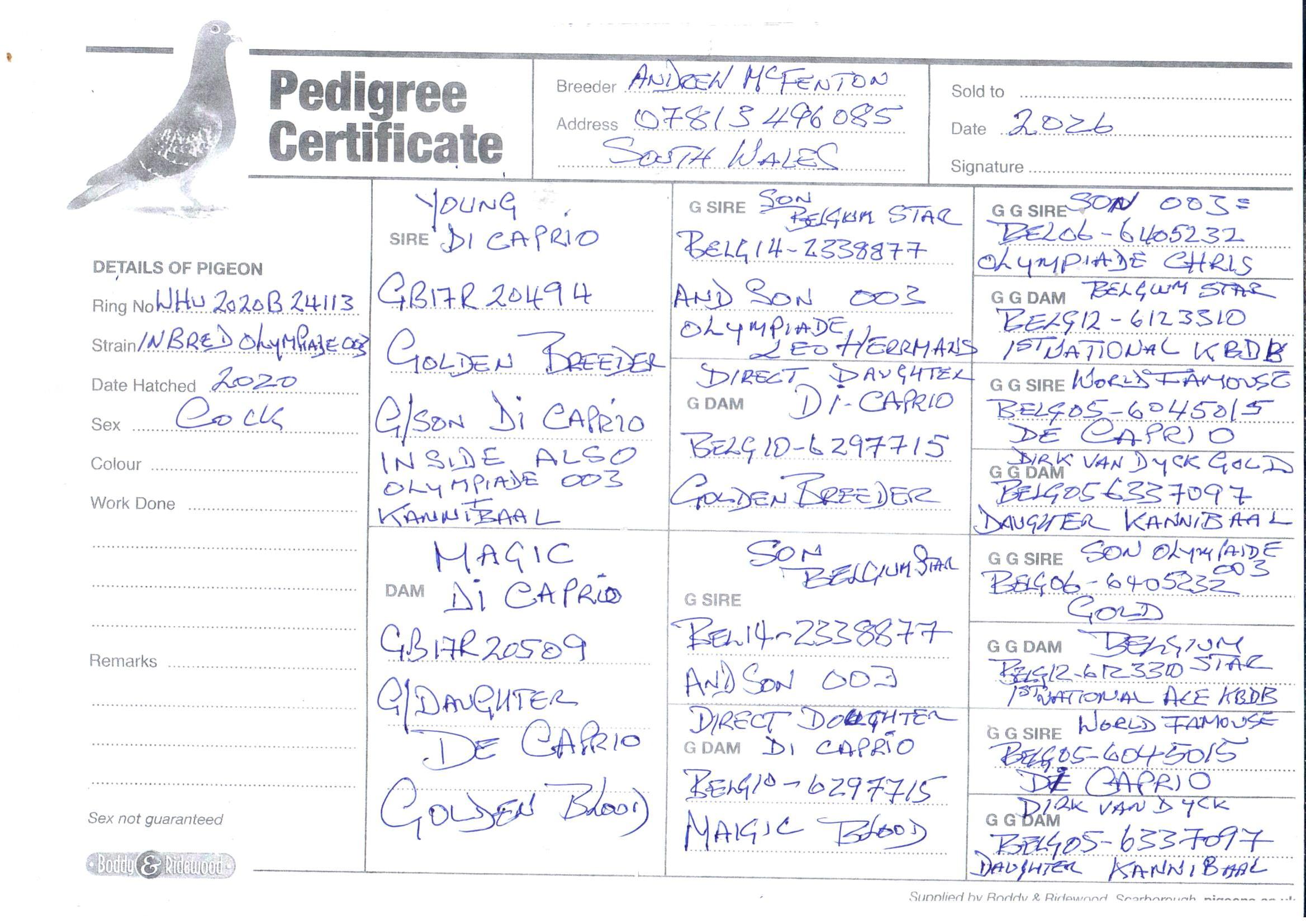 pedigree De 113