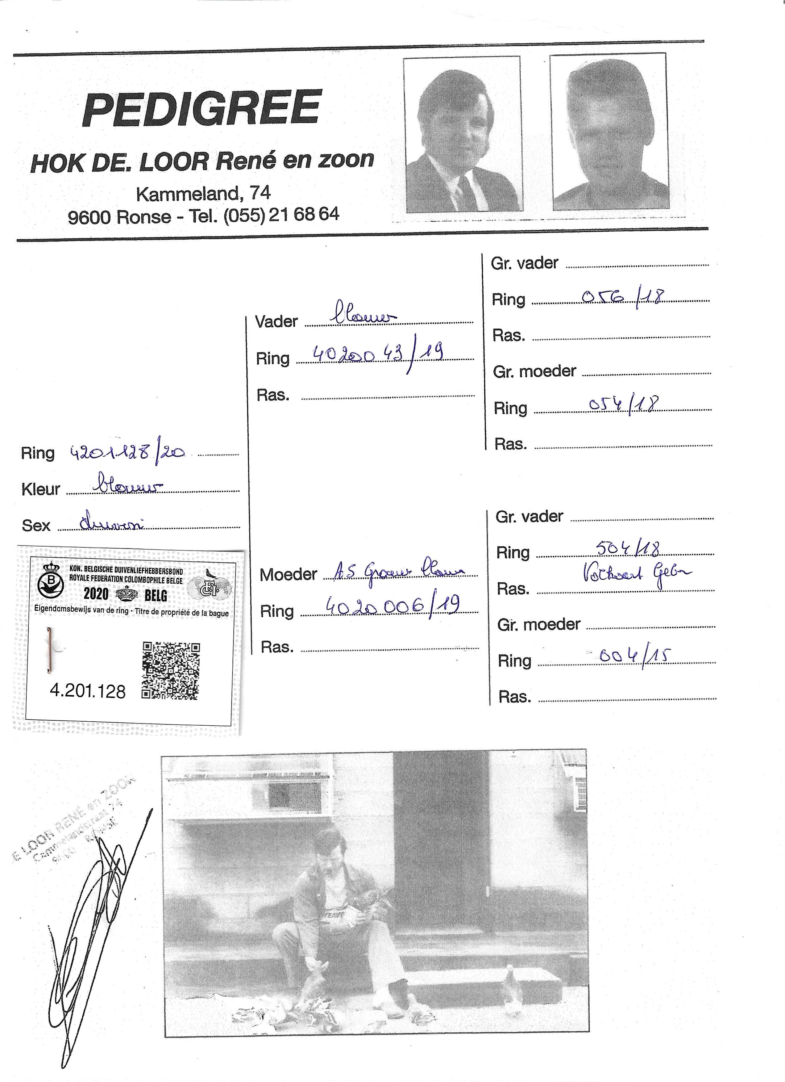 pedigree De Loor 128