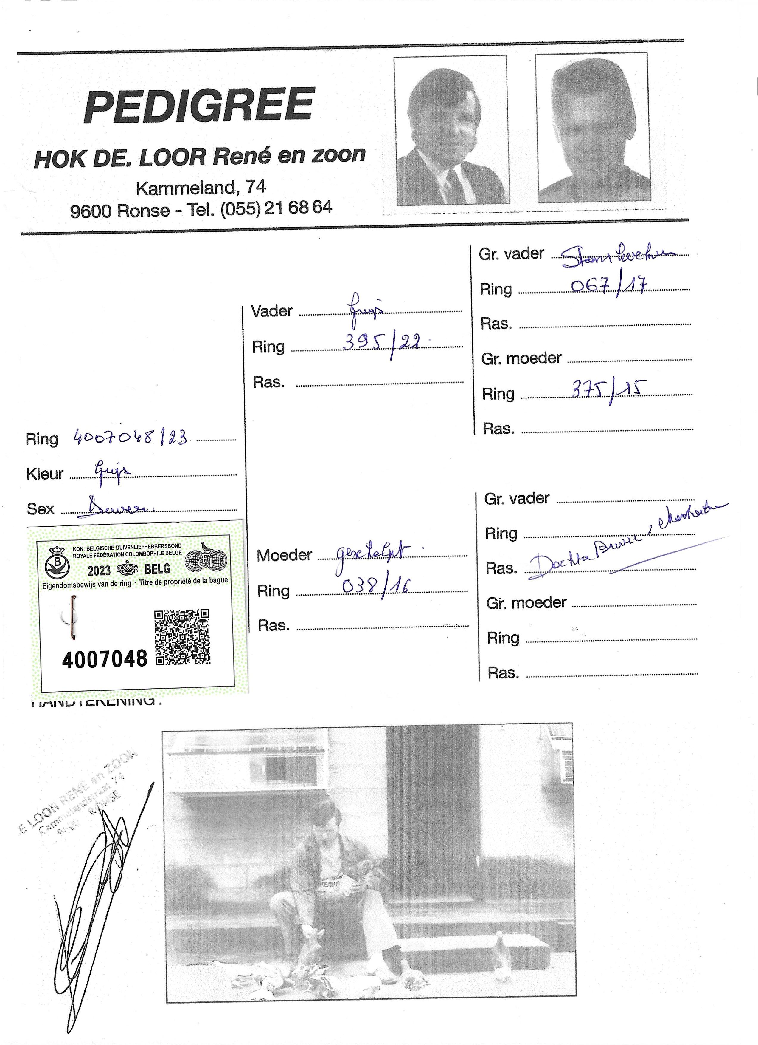 pedigree De Loor 048