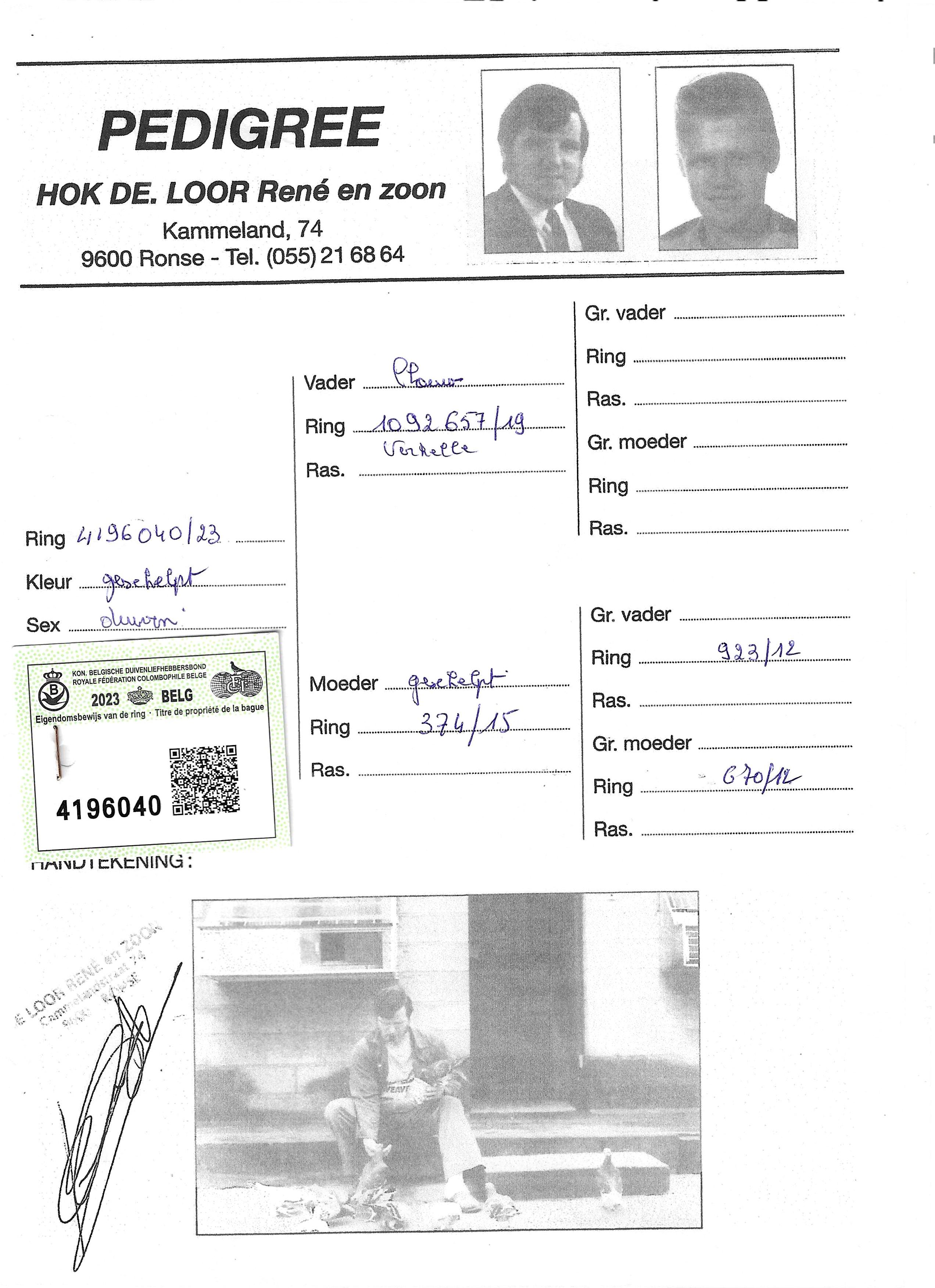 pedigree De Loor 040