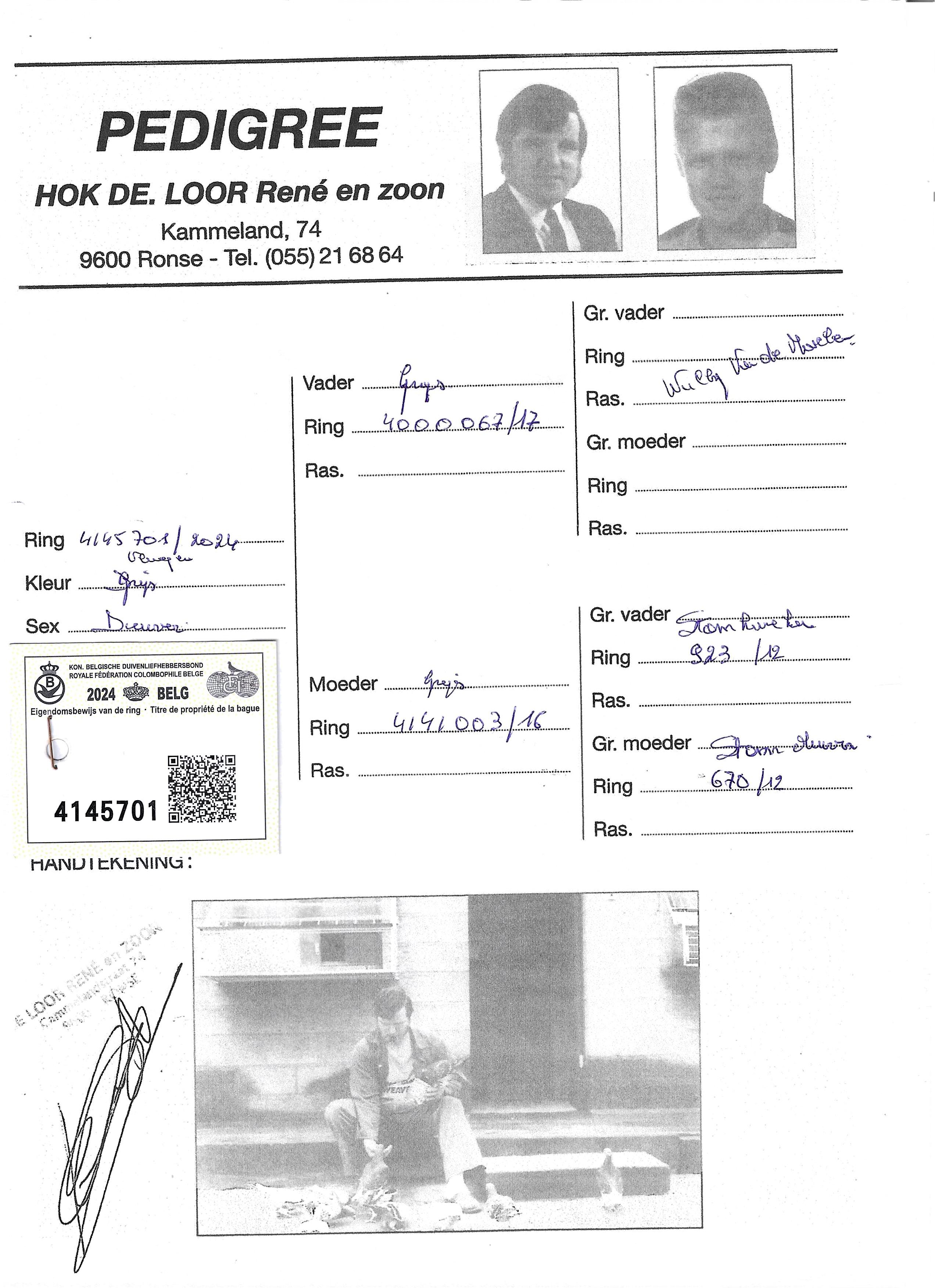 pedigree De Loor 701