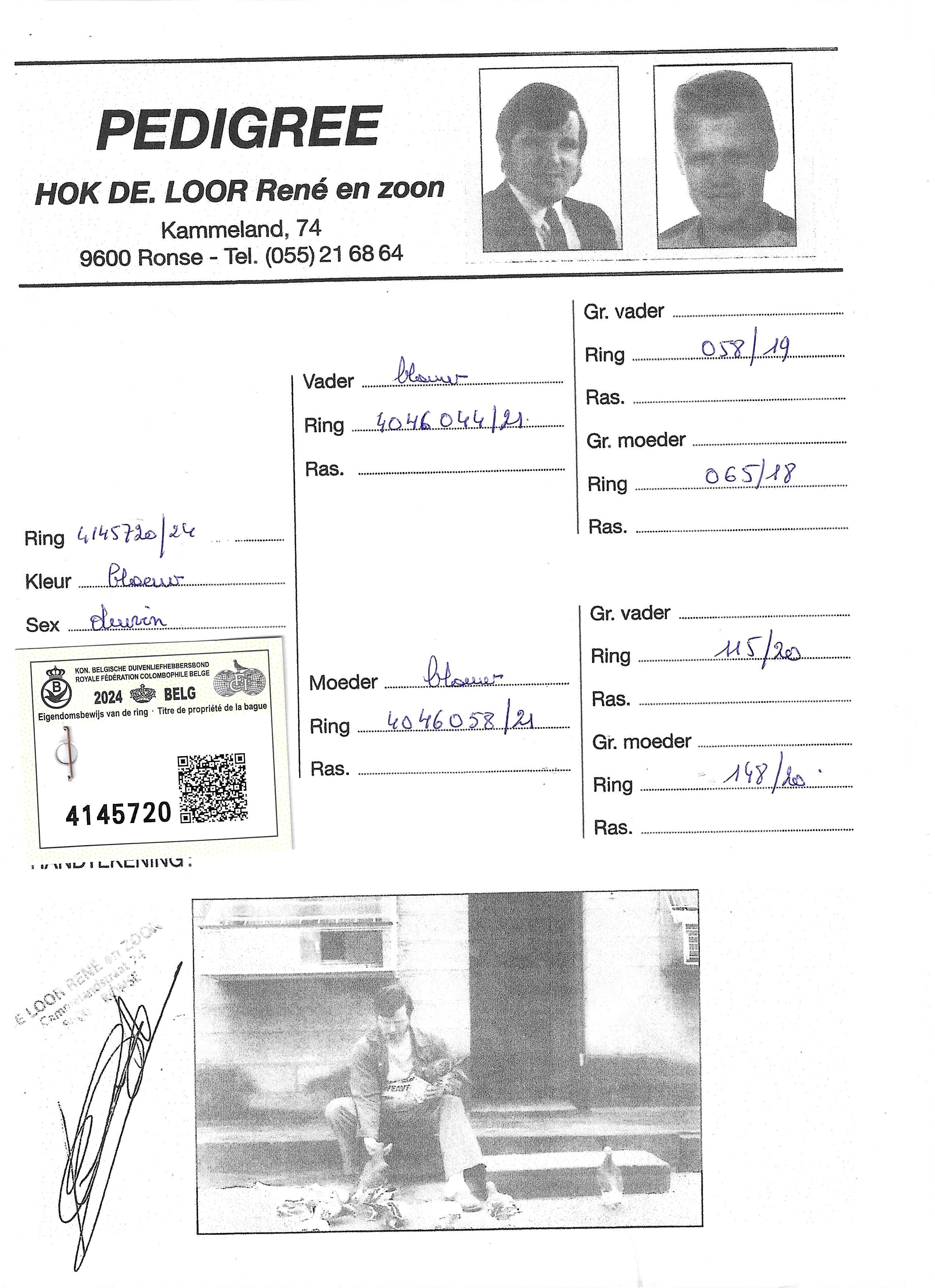pedigree De Loor 720